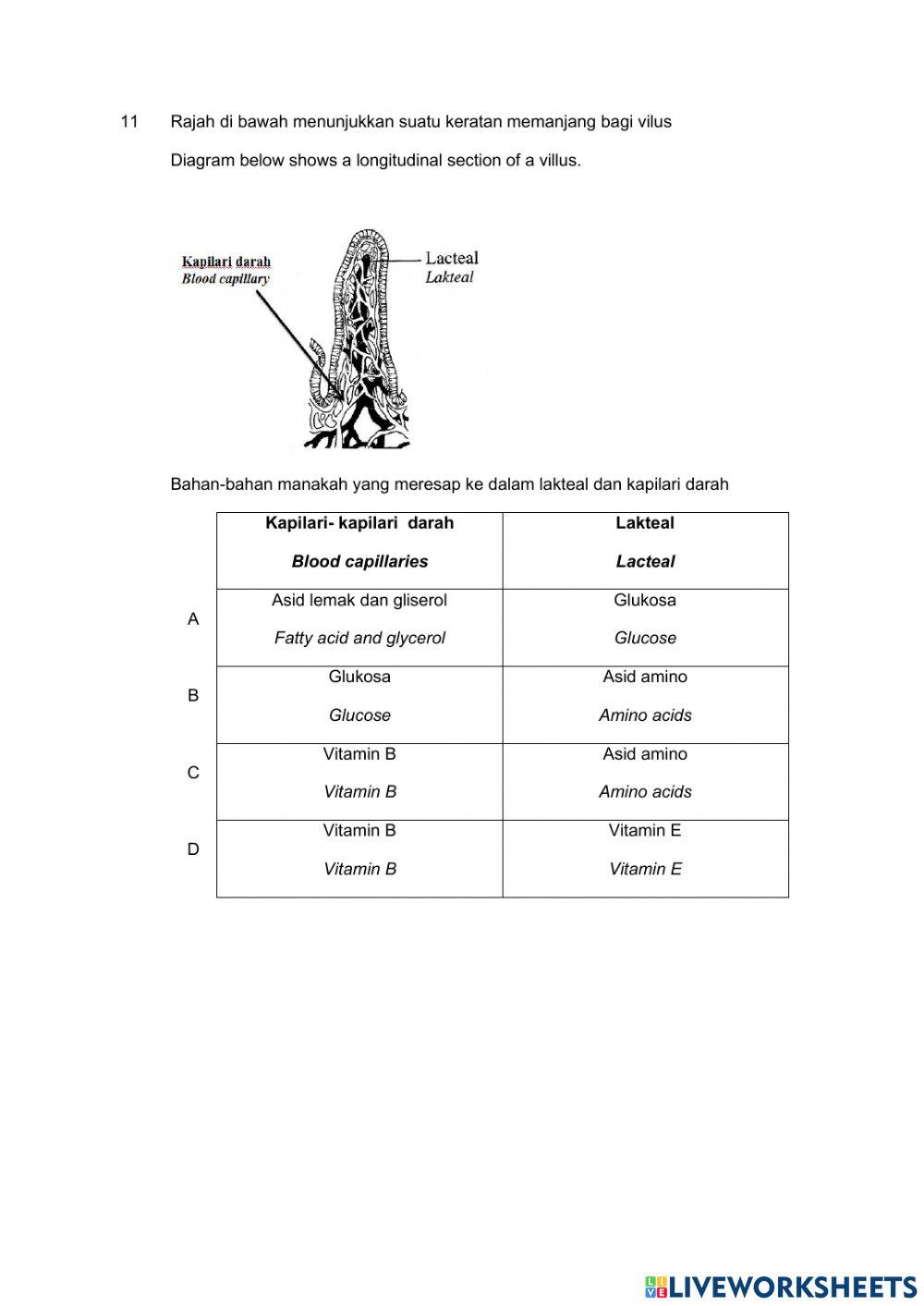 Pencernaan dan asimilasi