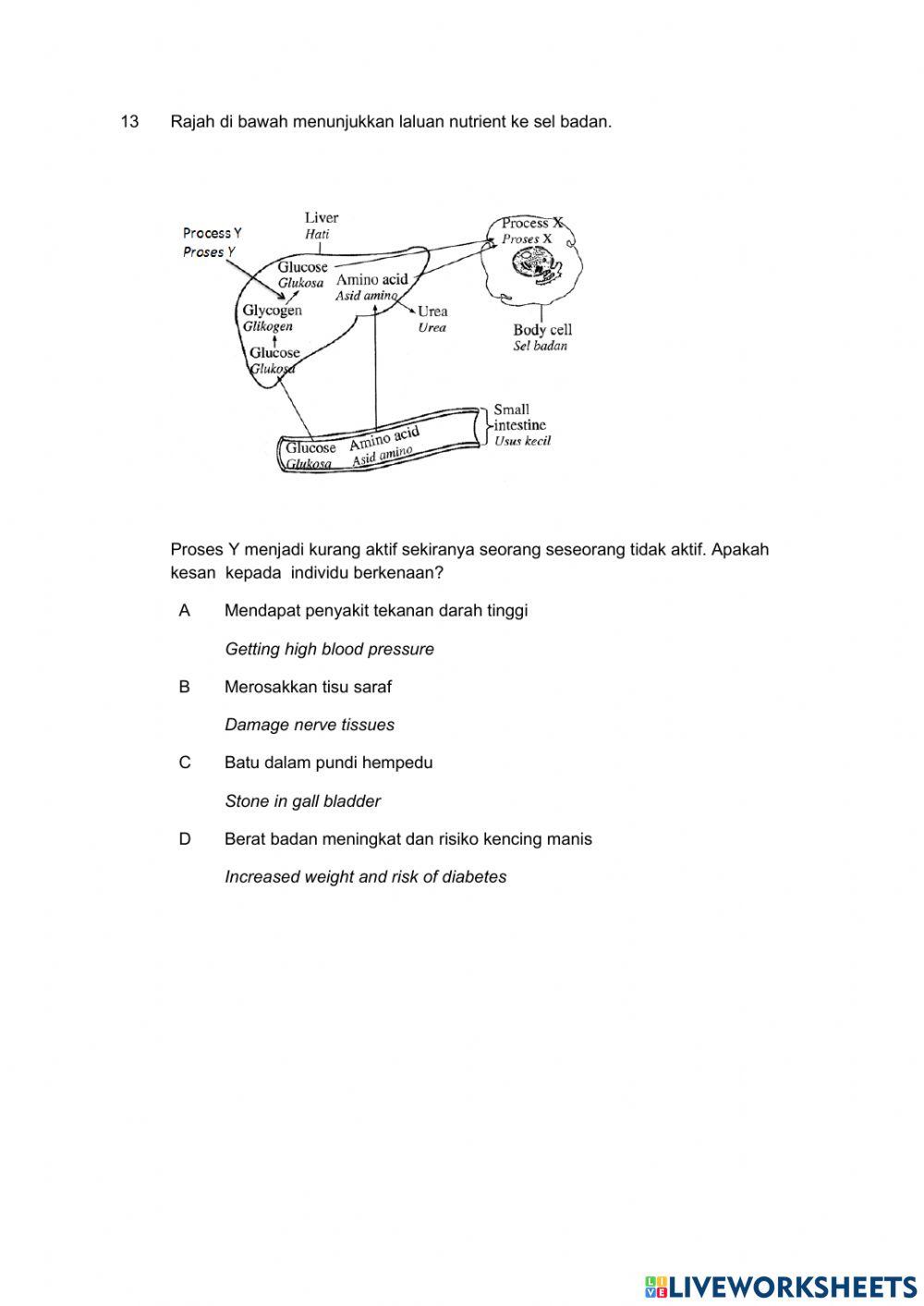 Pencernaan dan asimilasi