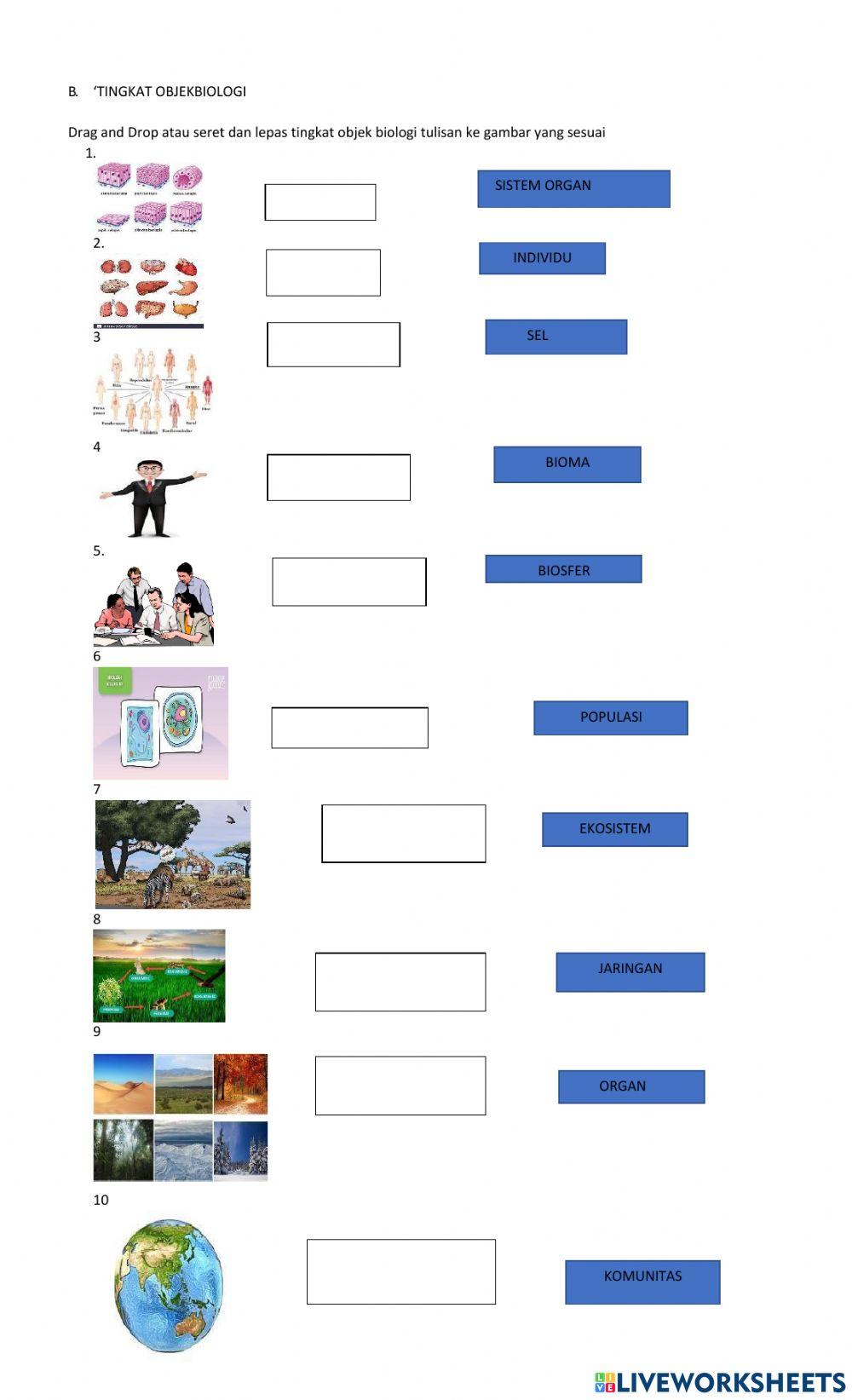 Ruang Lingkup Biologi