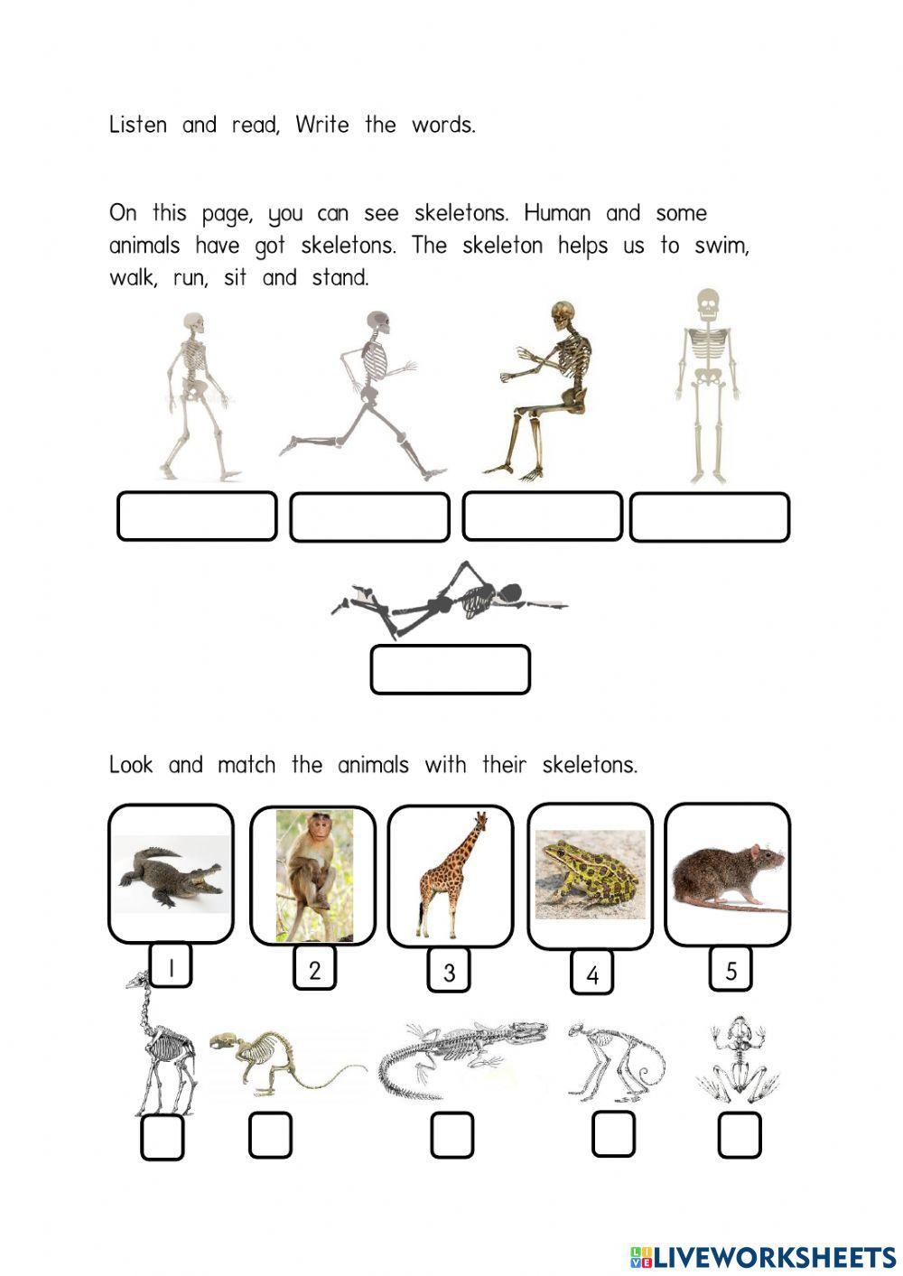 Super Minds page 102