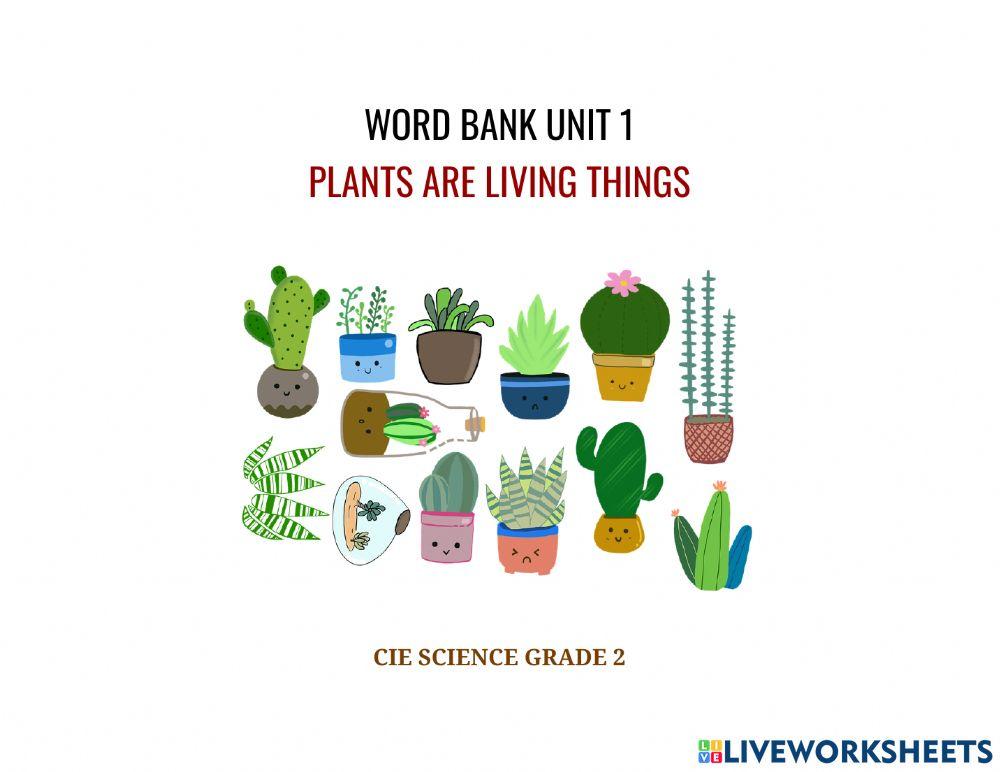 Word bank unit 1 plants are living things - unit 1.2 plant parts