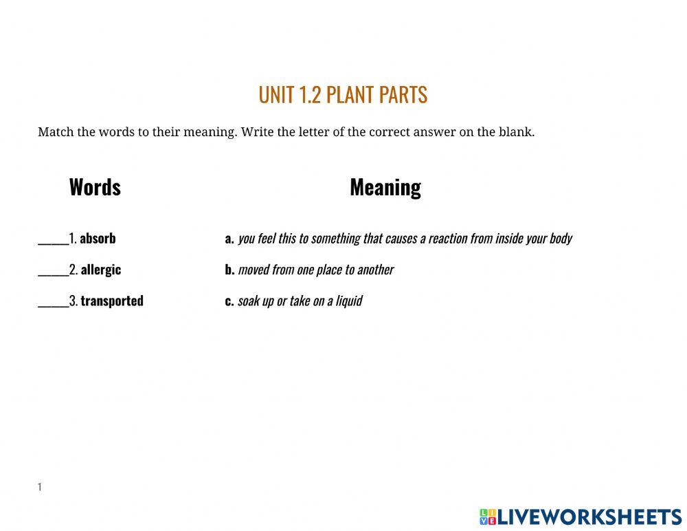 Word bank unit 1 plants are living things - unit 1.2 plant parts