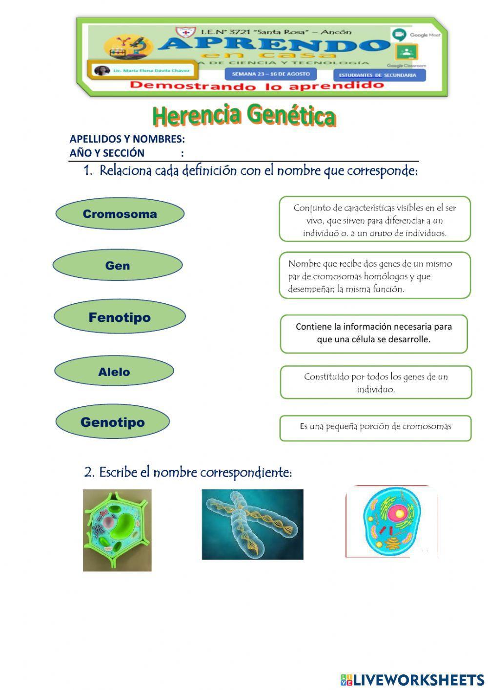 Herencia genética
