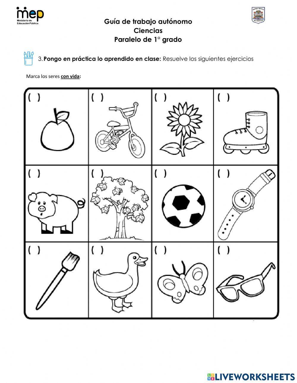 GTA -1 Agosto Ciencias