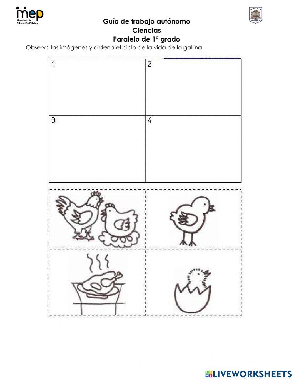 GTA -1 Agosto Ciencias