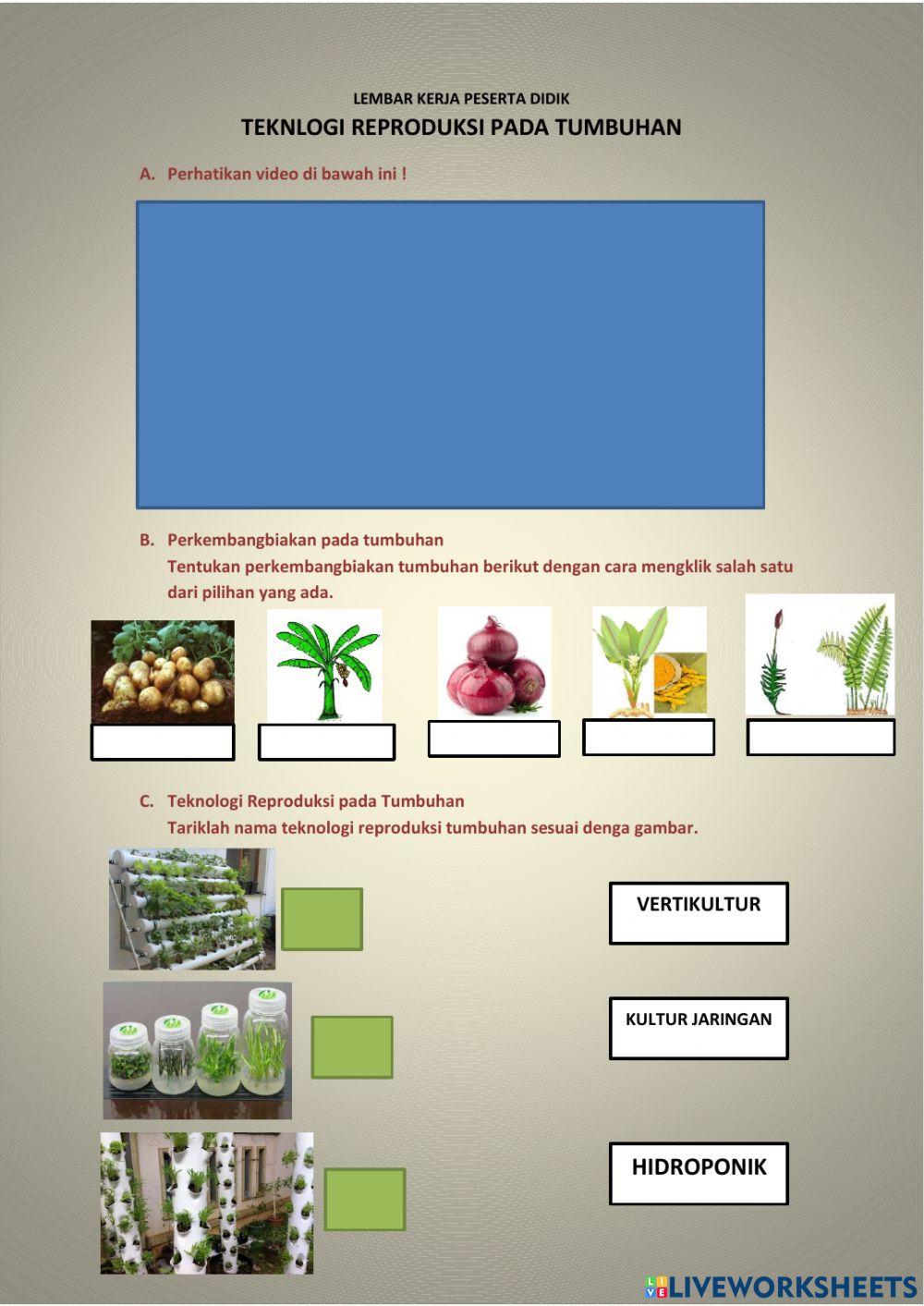 Teknologi Reproduksi Tumbuhan