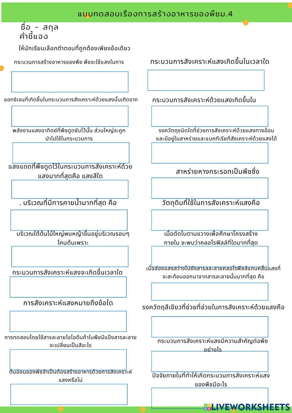 แบบทดสอบเรื่องการสร้างอาหารของพืช