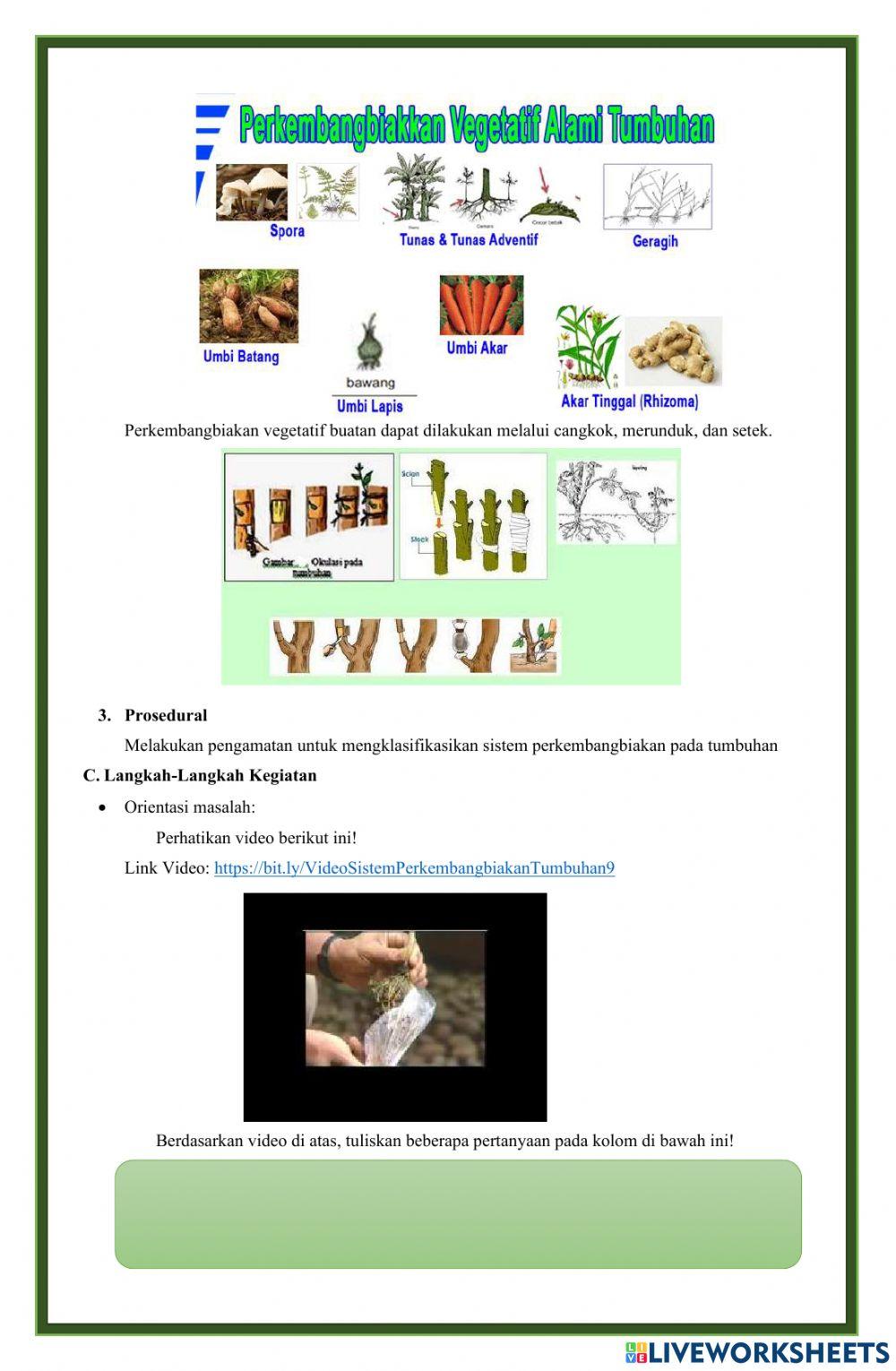 LKPD Sistem Perkembangbiakan Tumbuhan