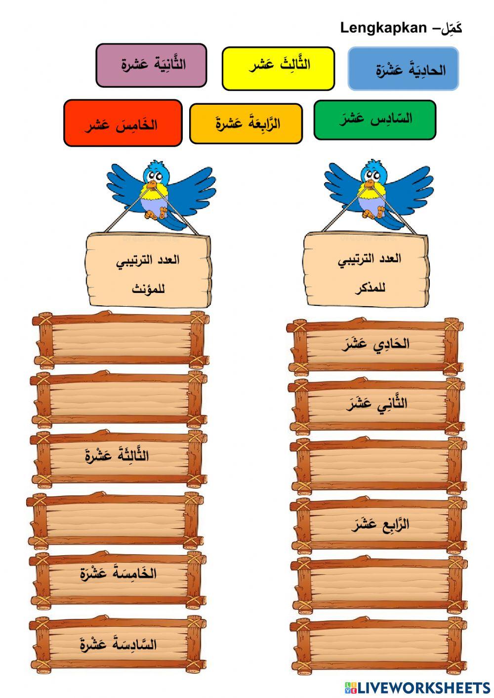 العدد الترتيبي 11-19