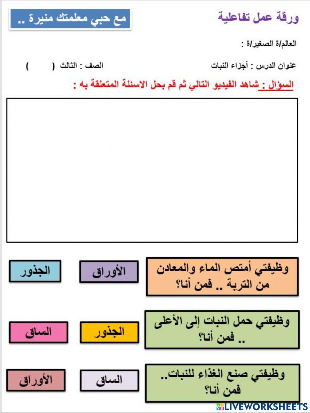 أجزاء النبات