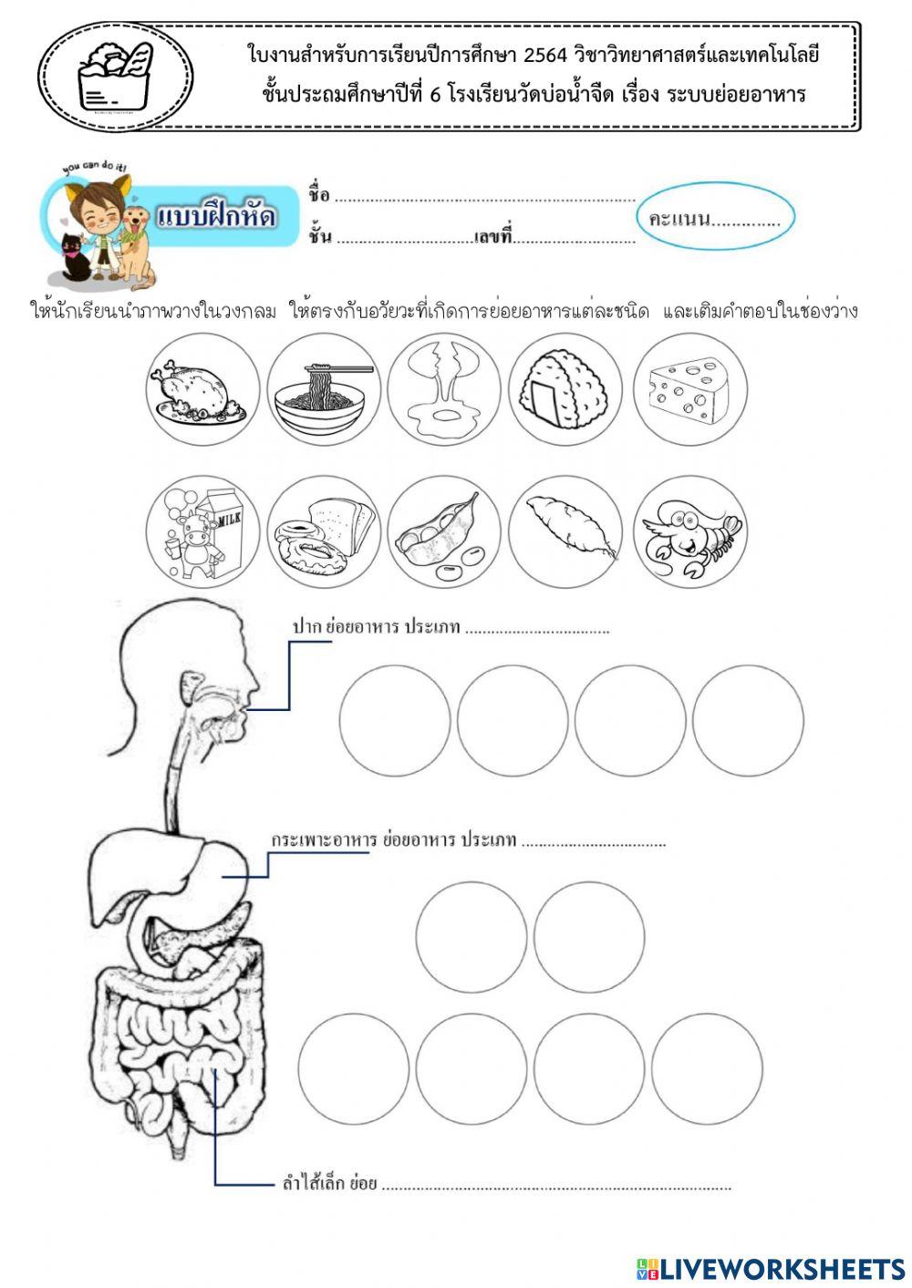 ระบบย่อยอาหาร