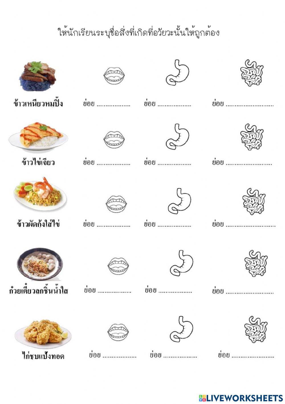 ระบบย่อยอาหาร