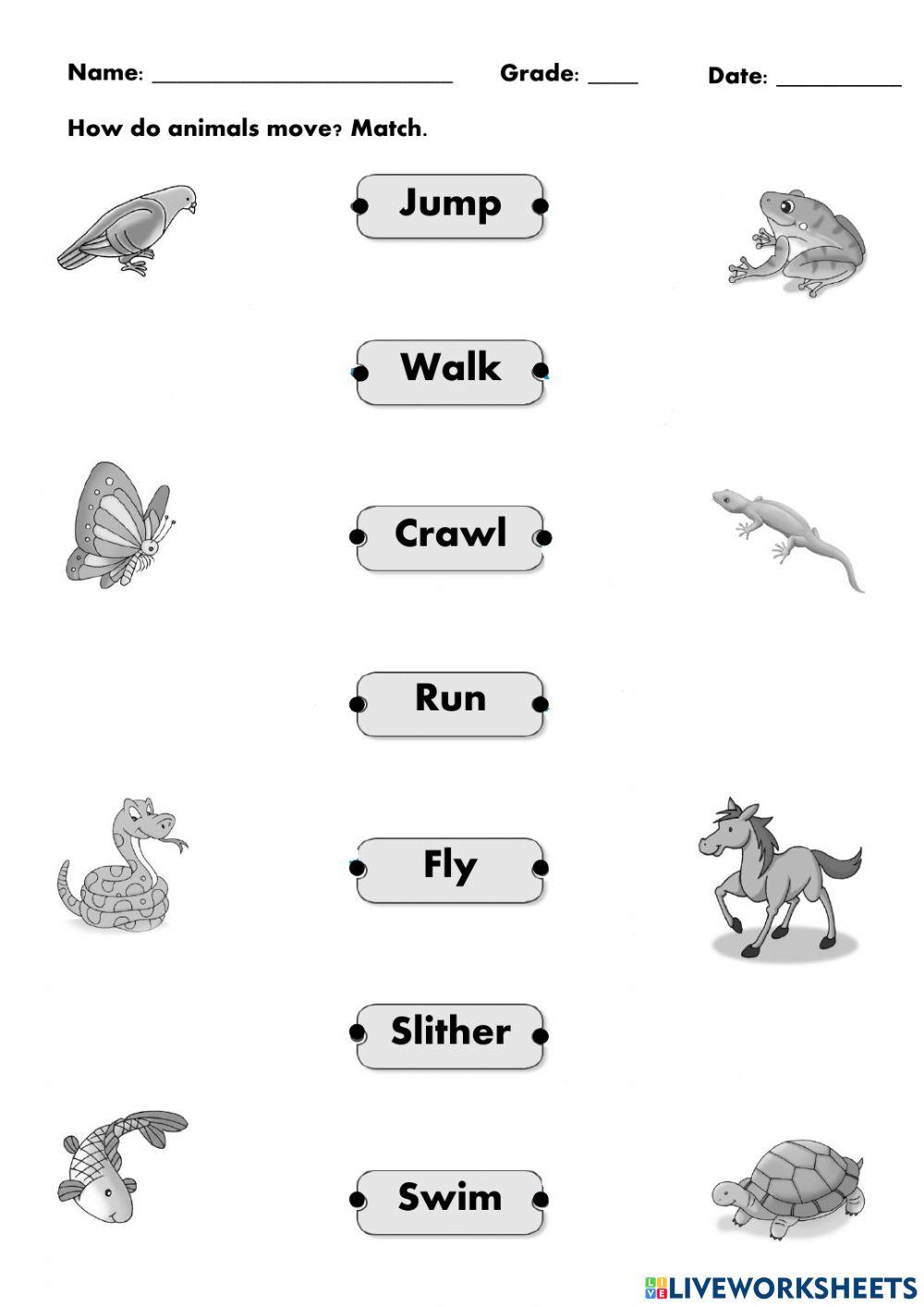 Movements and Parts of Animals