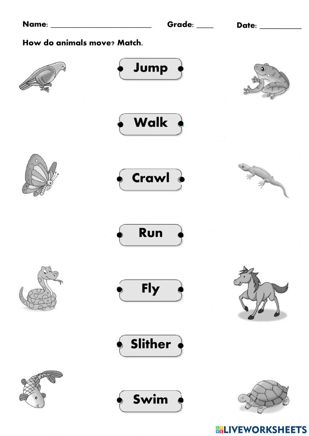 Movements and Parts of Animals Movements and Parts of Animals