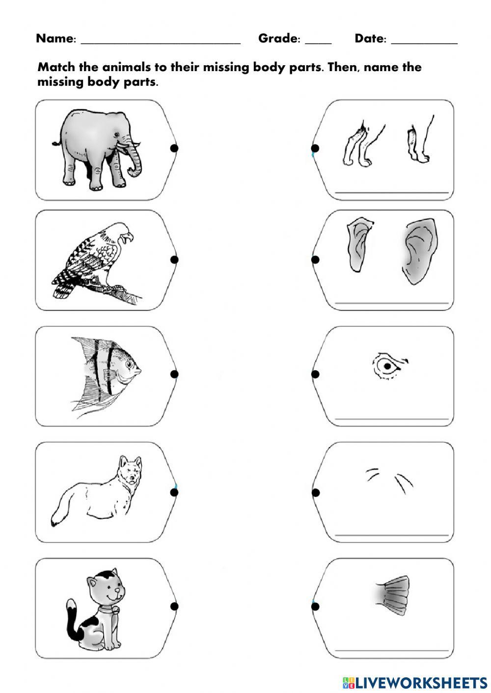 Movements and Parts of Animals Movements and Parts of Animals