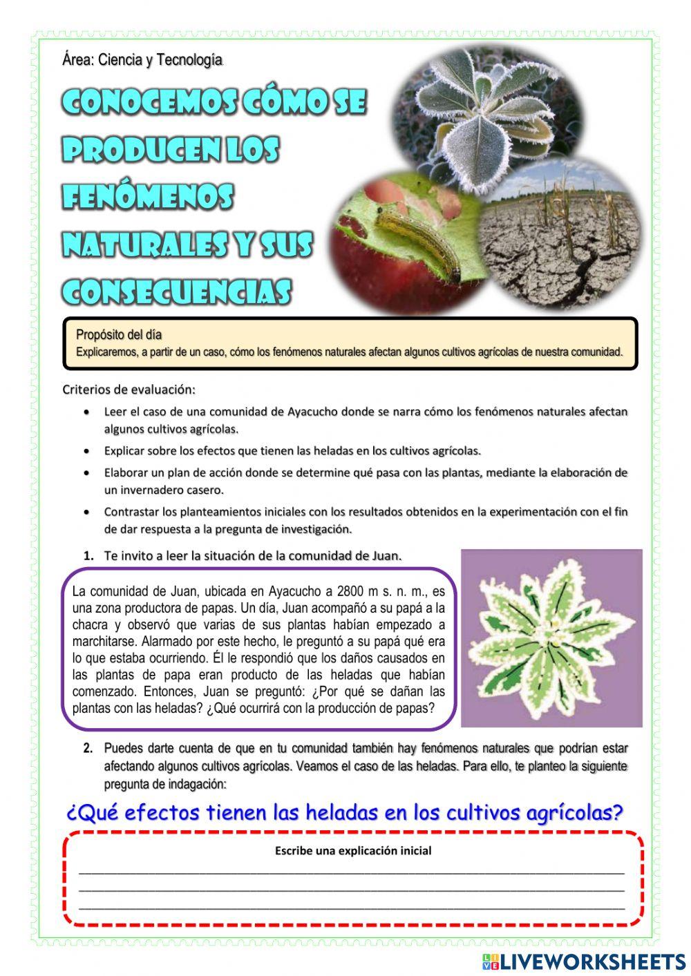 Conocemos cómo se producen los fenómenos naturales y sus consecuencias