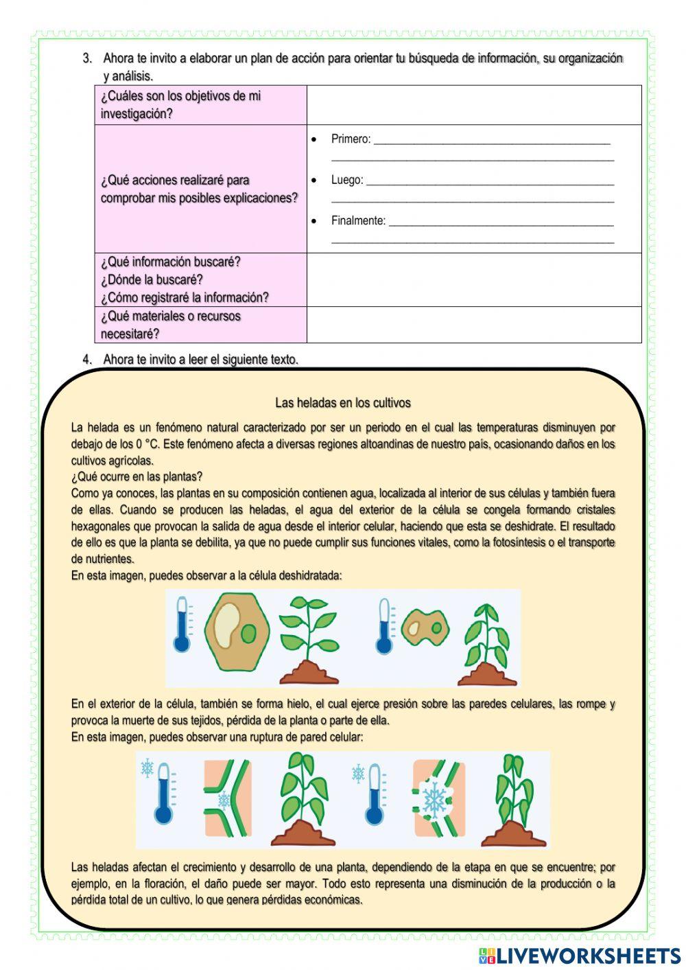 Conocemos cómo se producen los fenómenos naturales y sus consecuencias