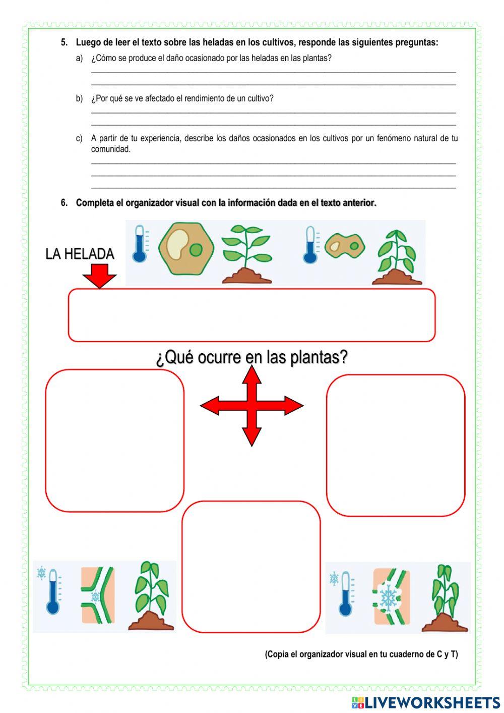 Conocemos cómo se producen los fenómenos naturales y sus consecuencias