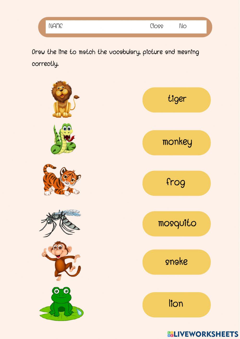 ชื่อสัตว์กับศัพท์ภาษาอังกฤษ