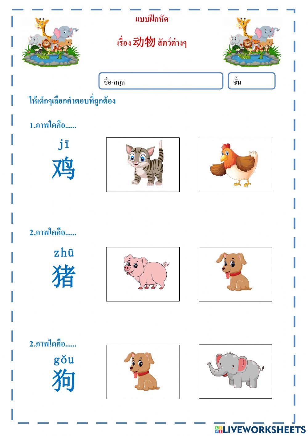 สัตว์ต่างๆ 动物