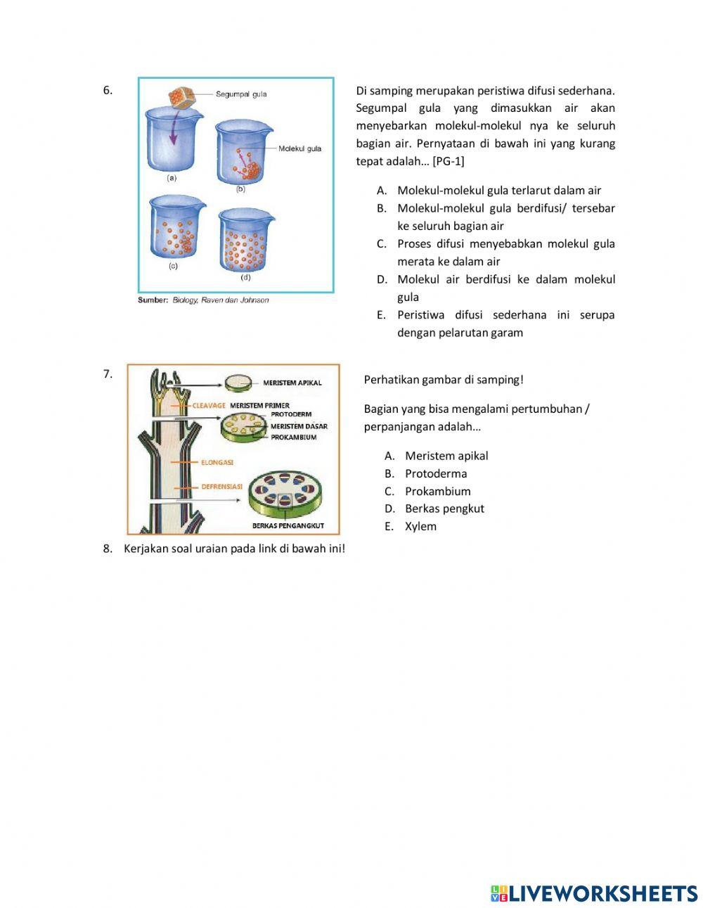Ulangan Harian 1 & 2