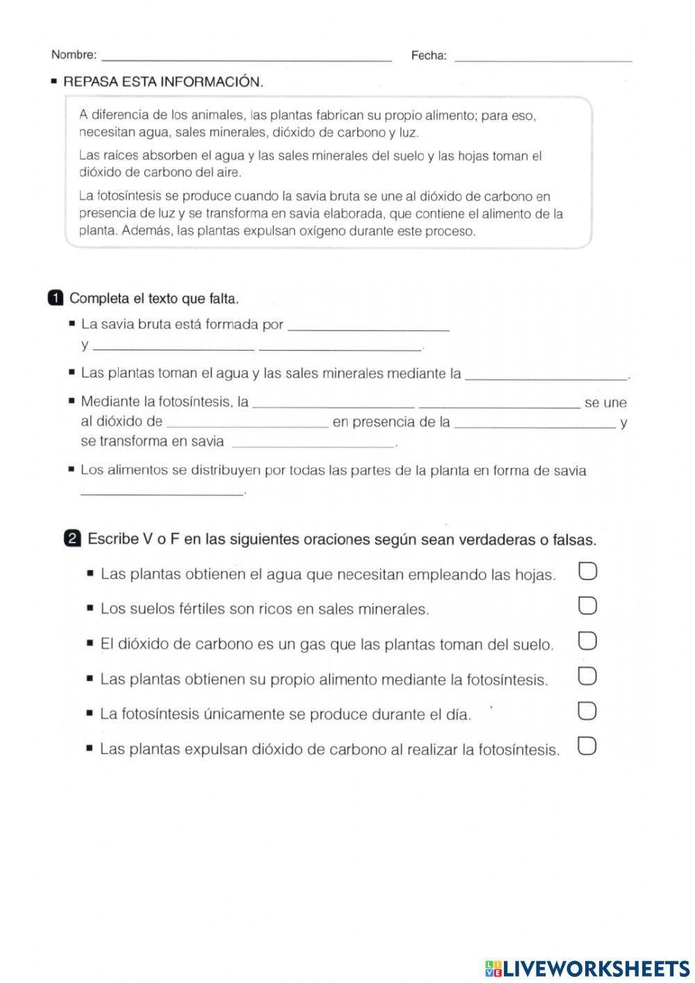 Nutricion de las plantas