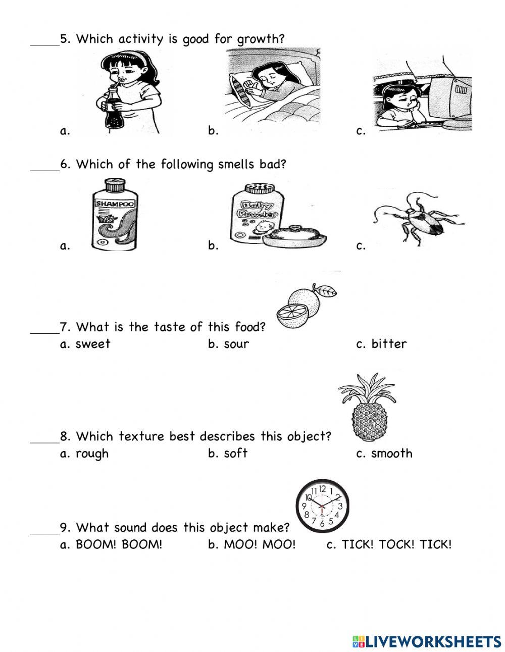 Assessment Test - Science 1 Assessment Test - Science 1