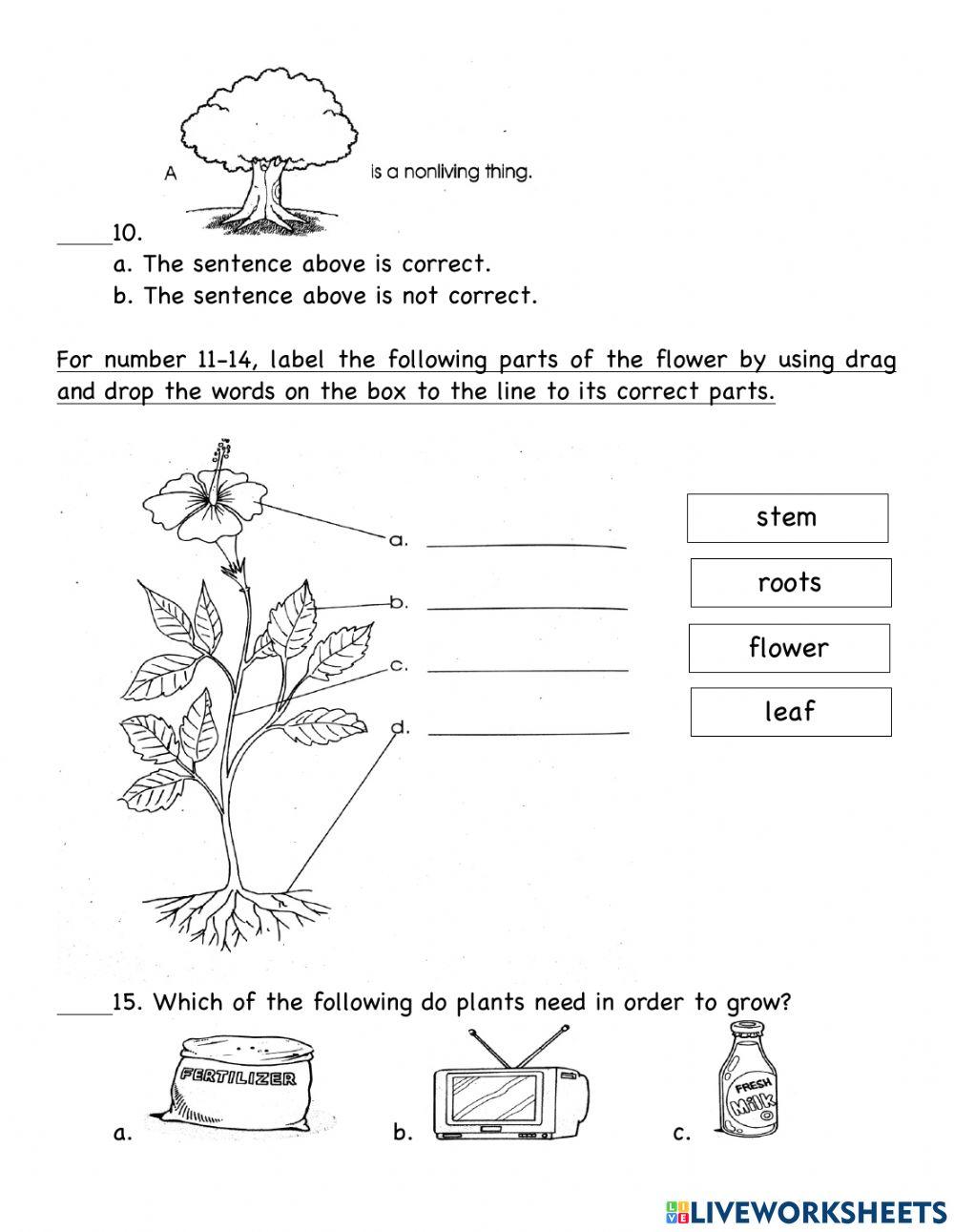 Assessment Test - Science 1 Assessment Test - Science 1