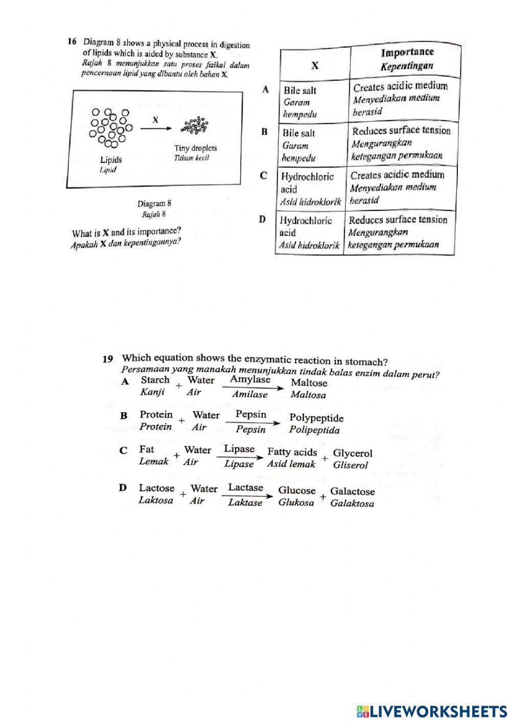 Bab 9 Nutrisi dan Sistem Pencernaan
