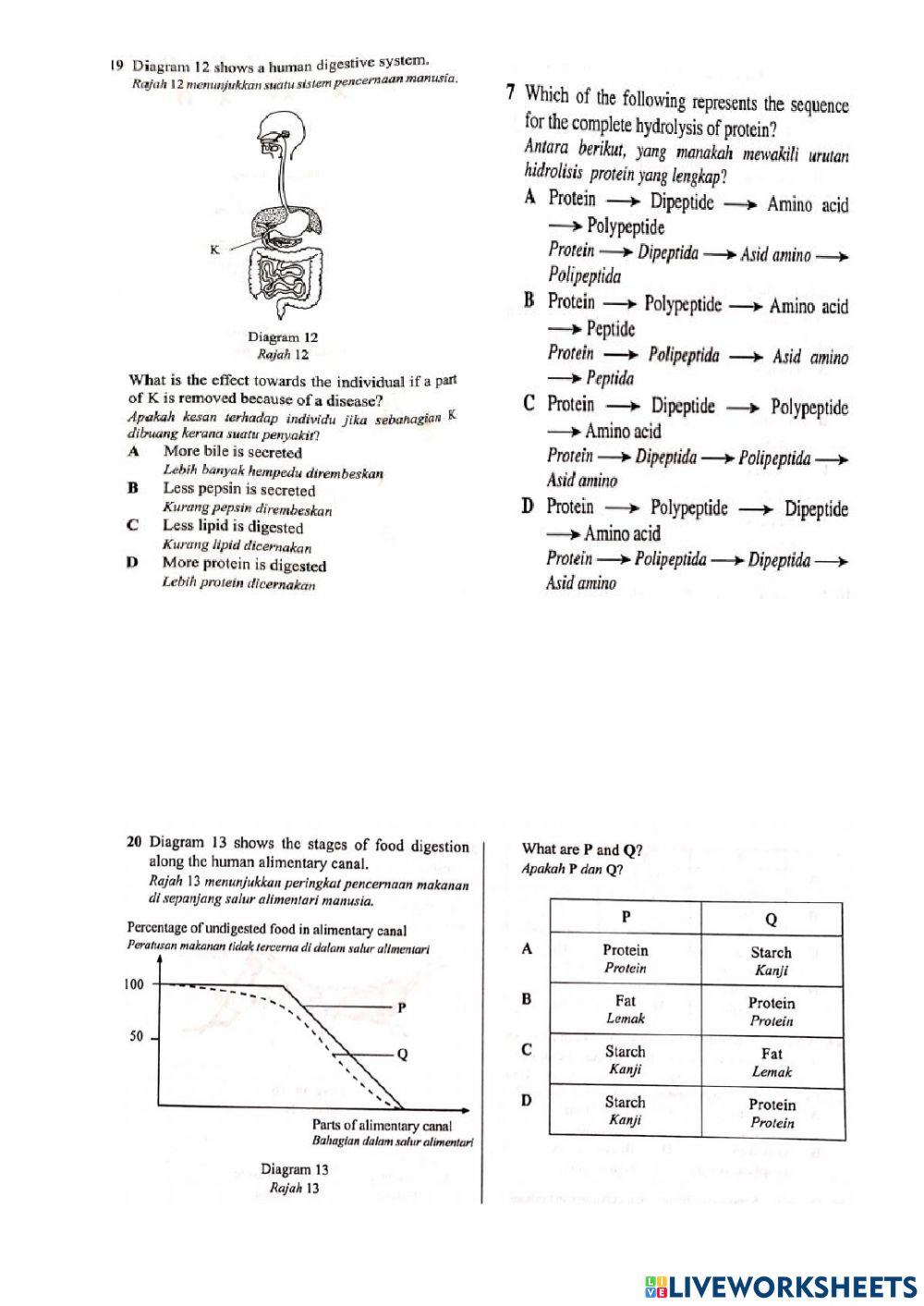 Bab 9 Nutrisi dan Sistem Pencernaan
