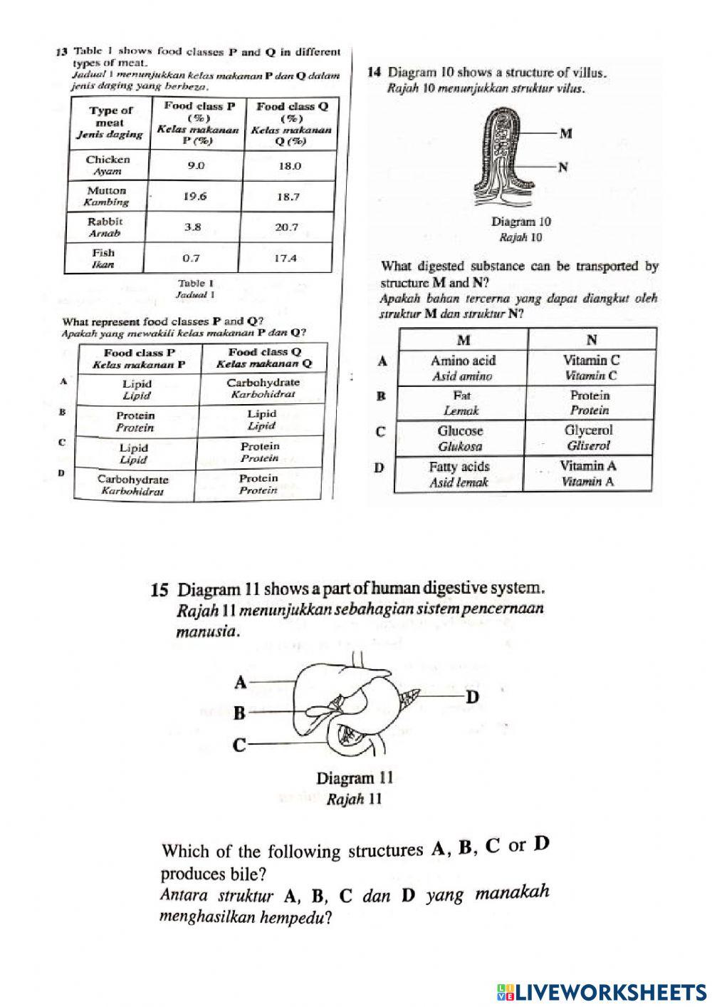 Bab 9 Nutrisi dan Sistem Pencernaan