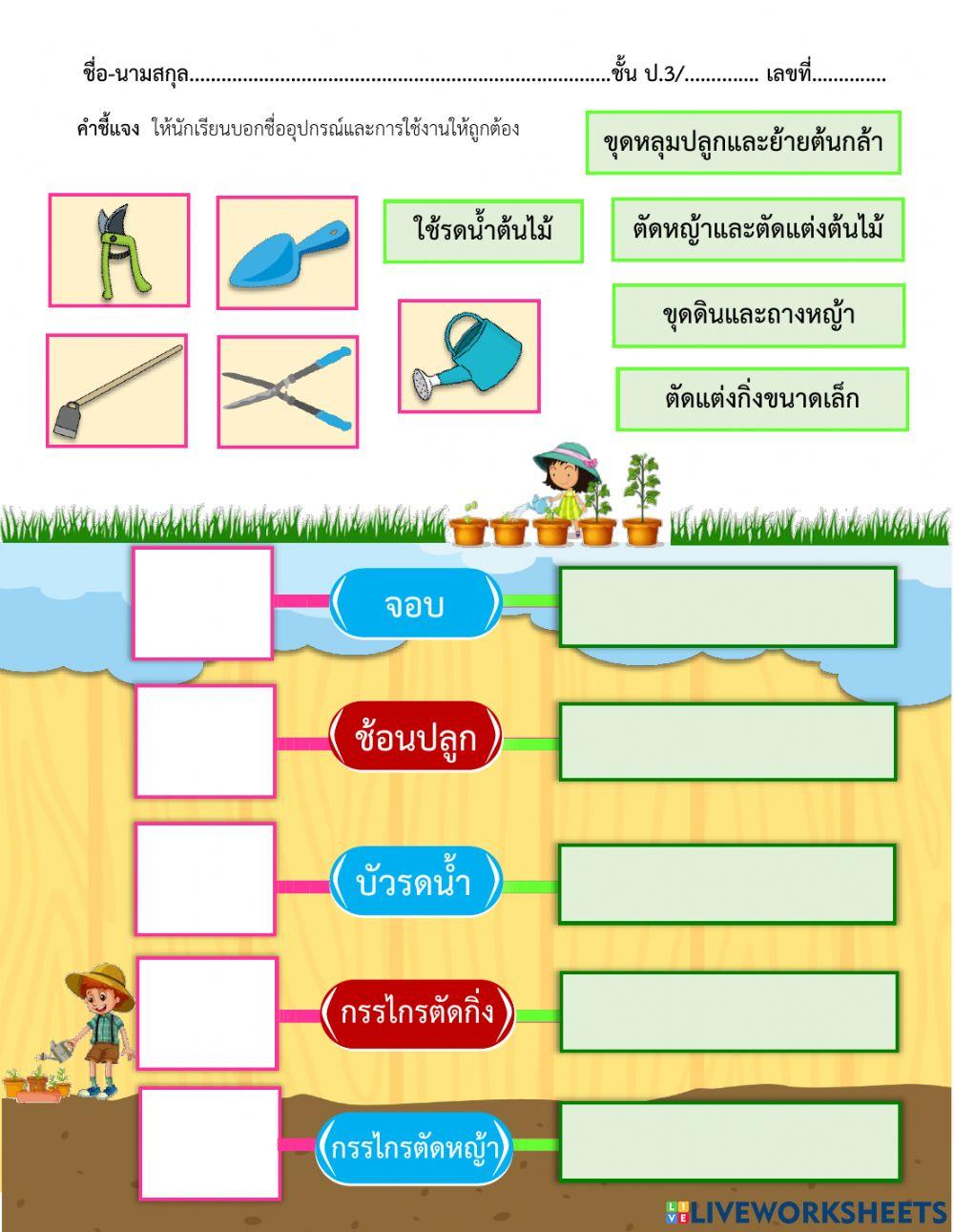 ใบงาน เครื่องมือเกษตร ป.3