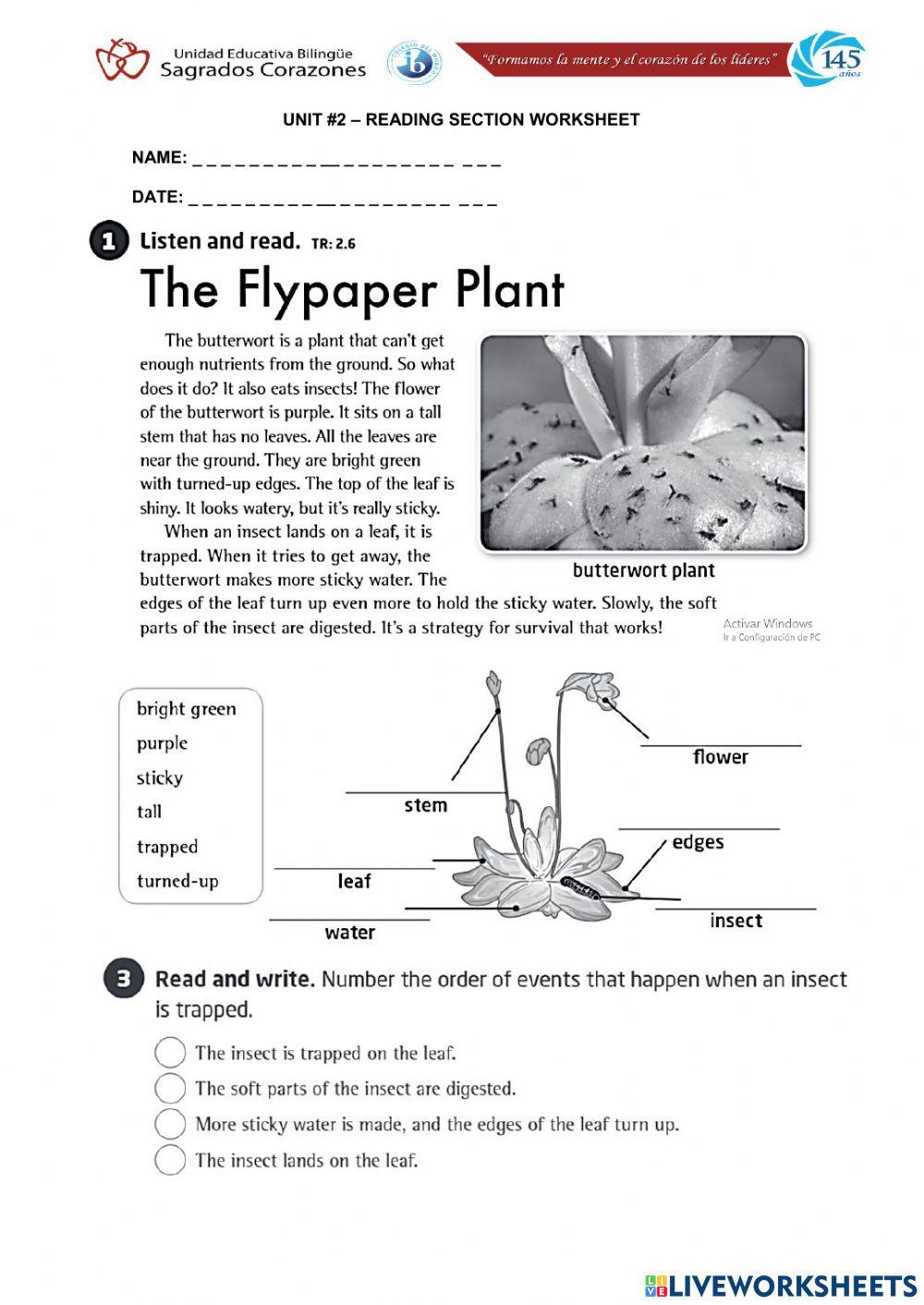The FlyPaperPlant