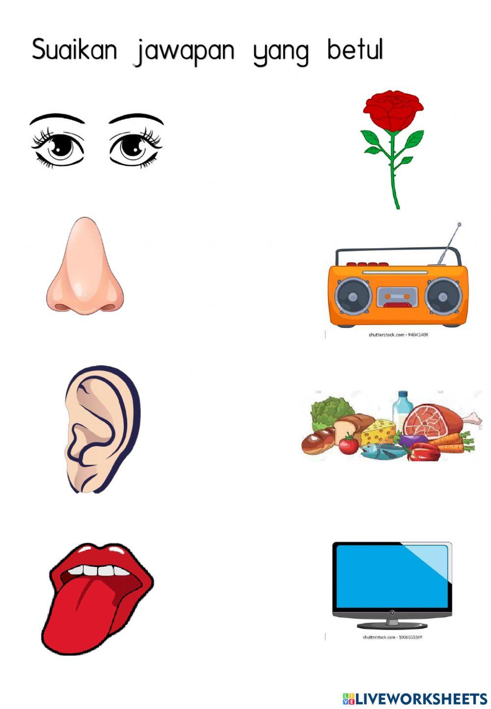 DERIA PSSPI 5 TAHUN 3692210 | cikbetik95 | Live