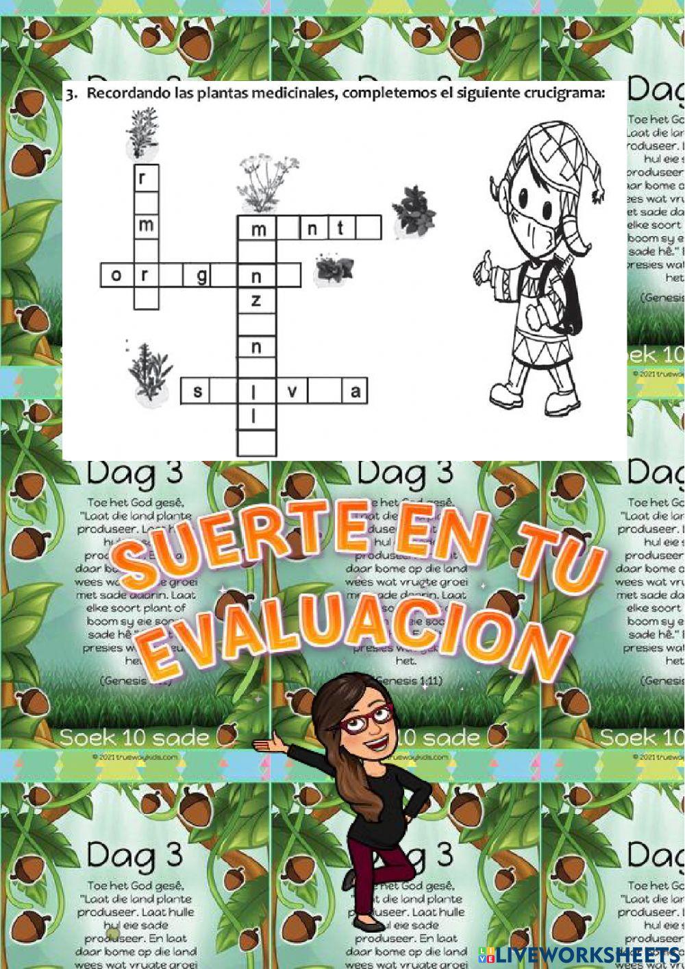 Evaluación 3 primeros temas