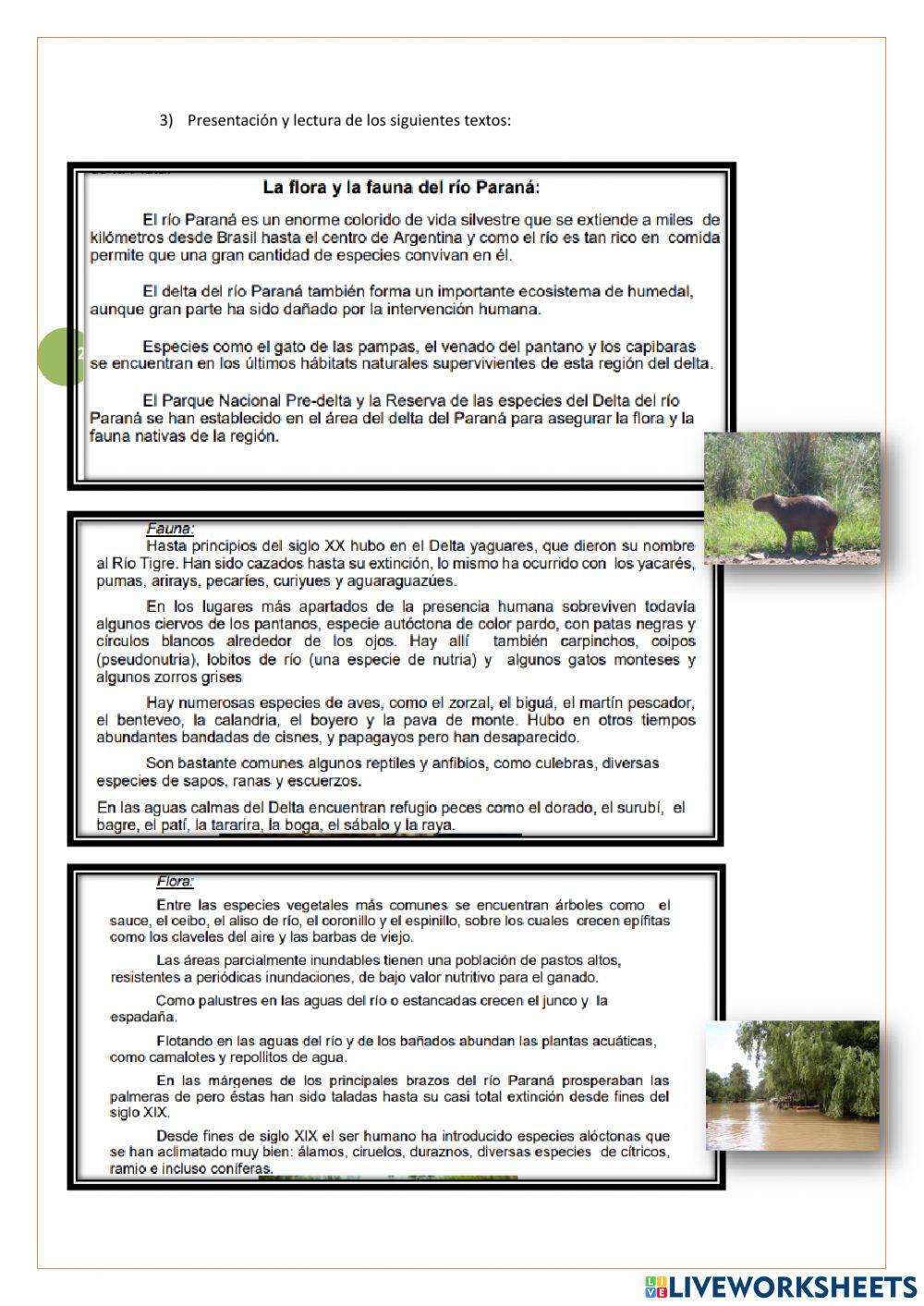 Problemas ambientales