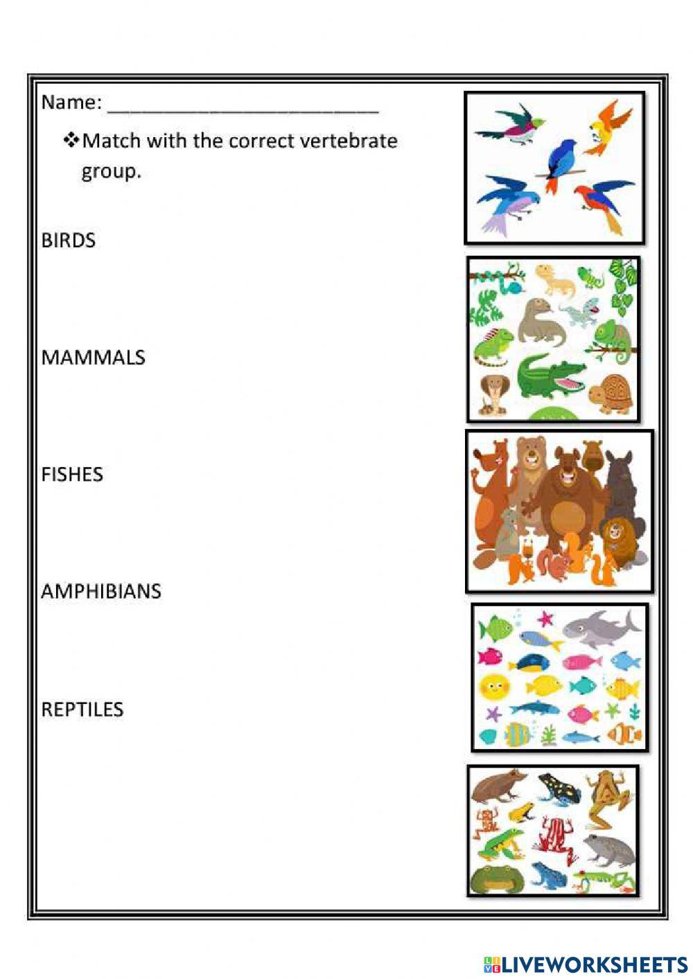 Types of animal