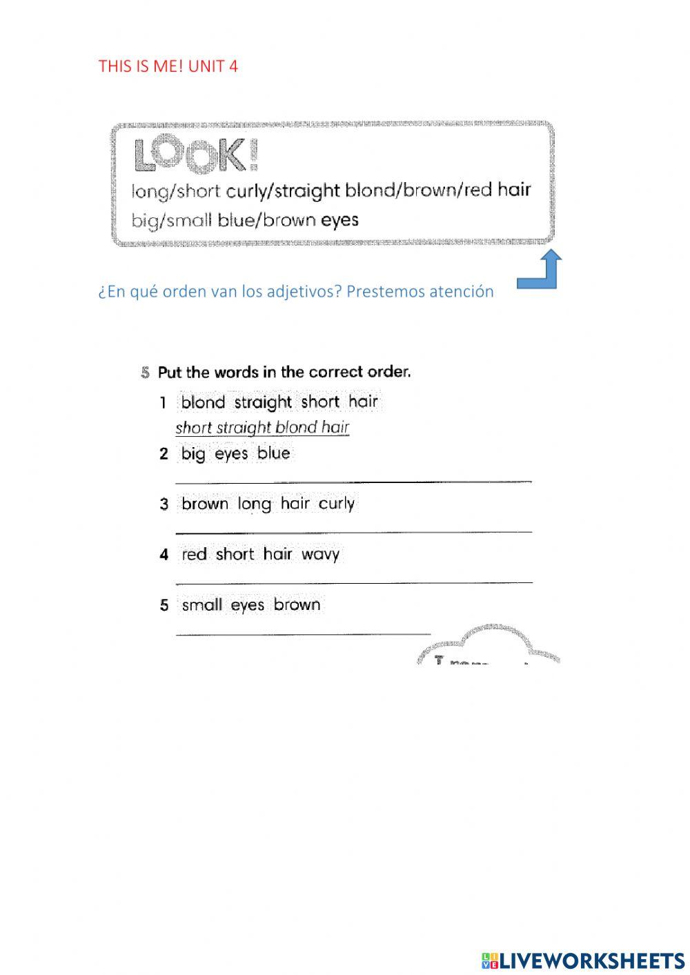 Parts of the face Vocabulary