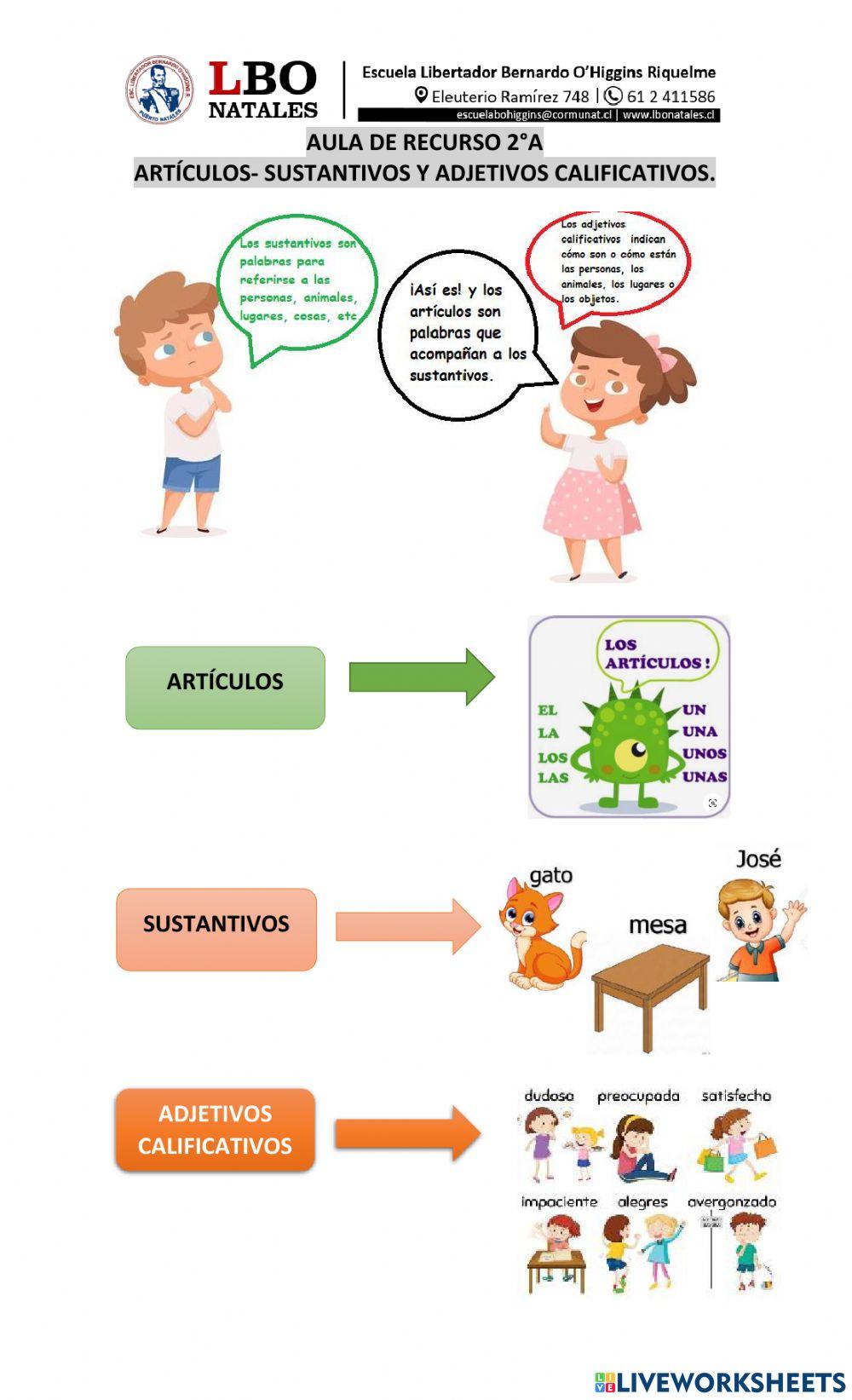 Artículo, sustantivos y adjetivos.