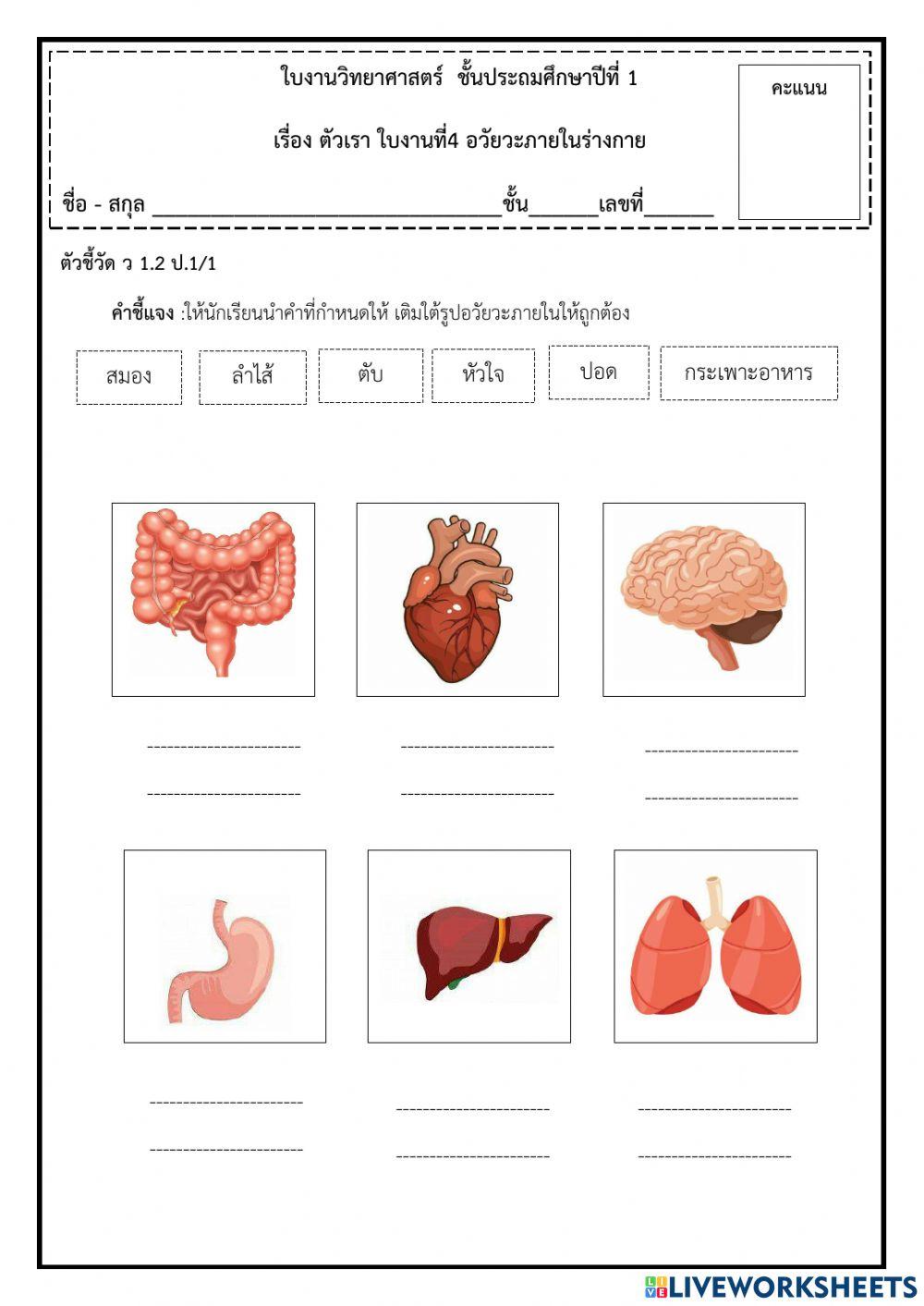 ใบงานวิทยาศาสตร์