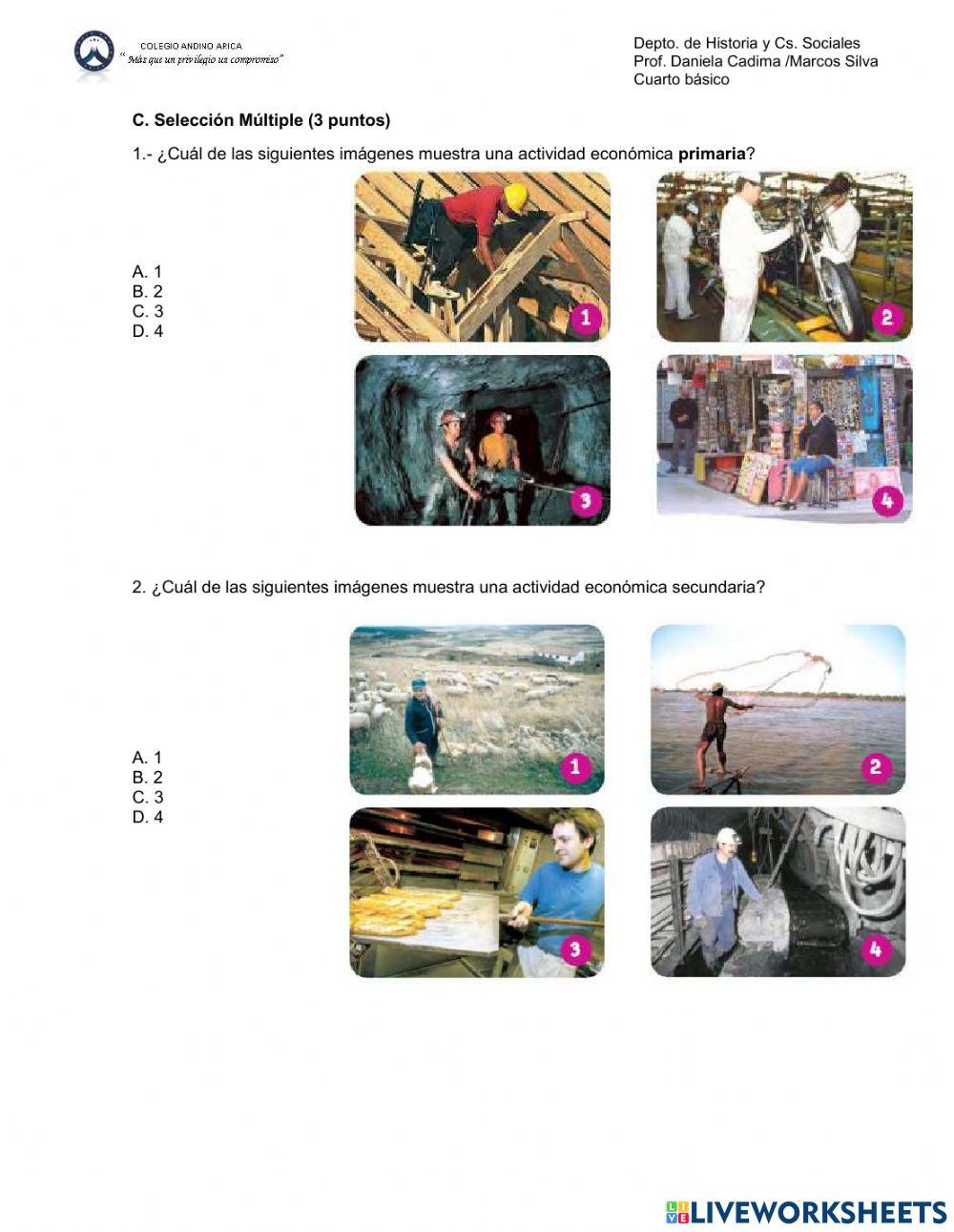 Evaluación 4° básico