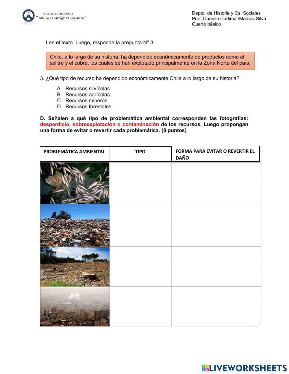 Evaluación 4° básico