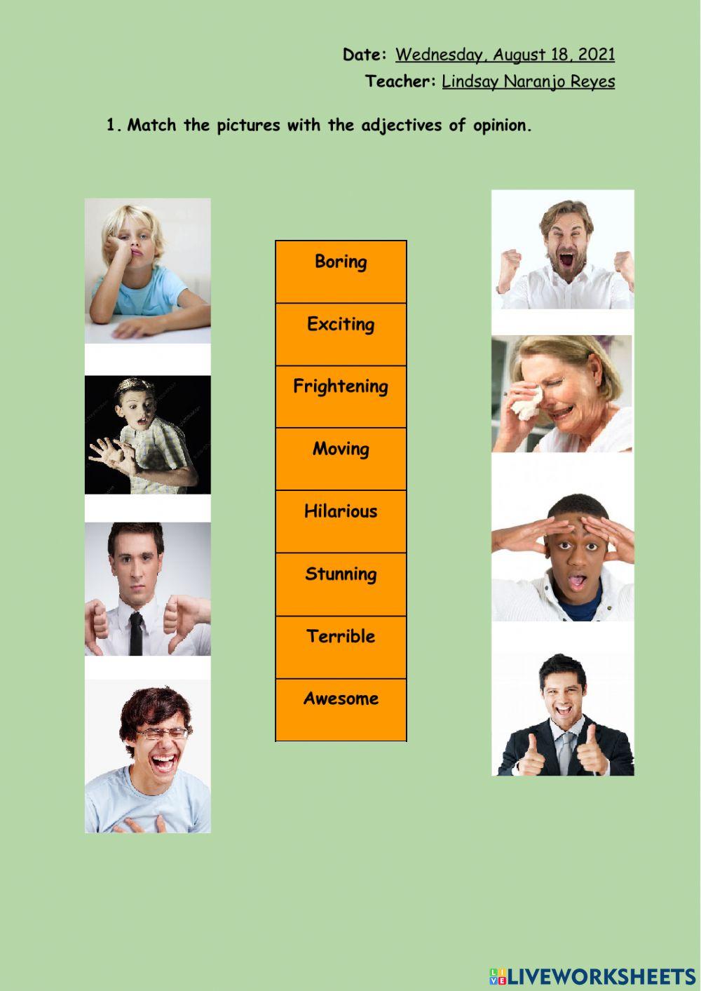 Adjectives of opinion