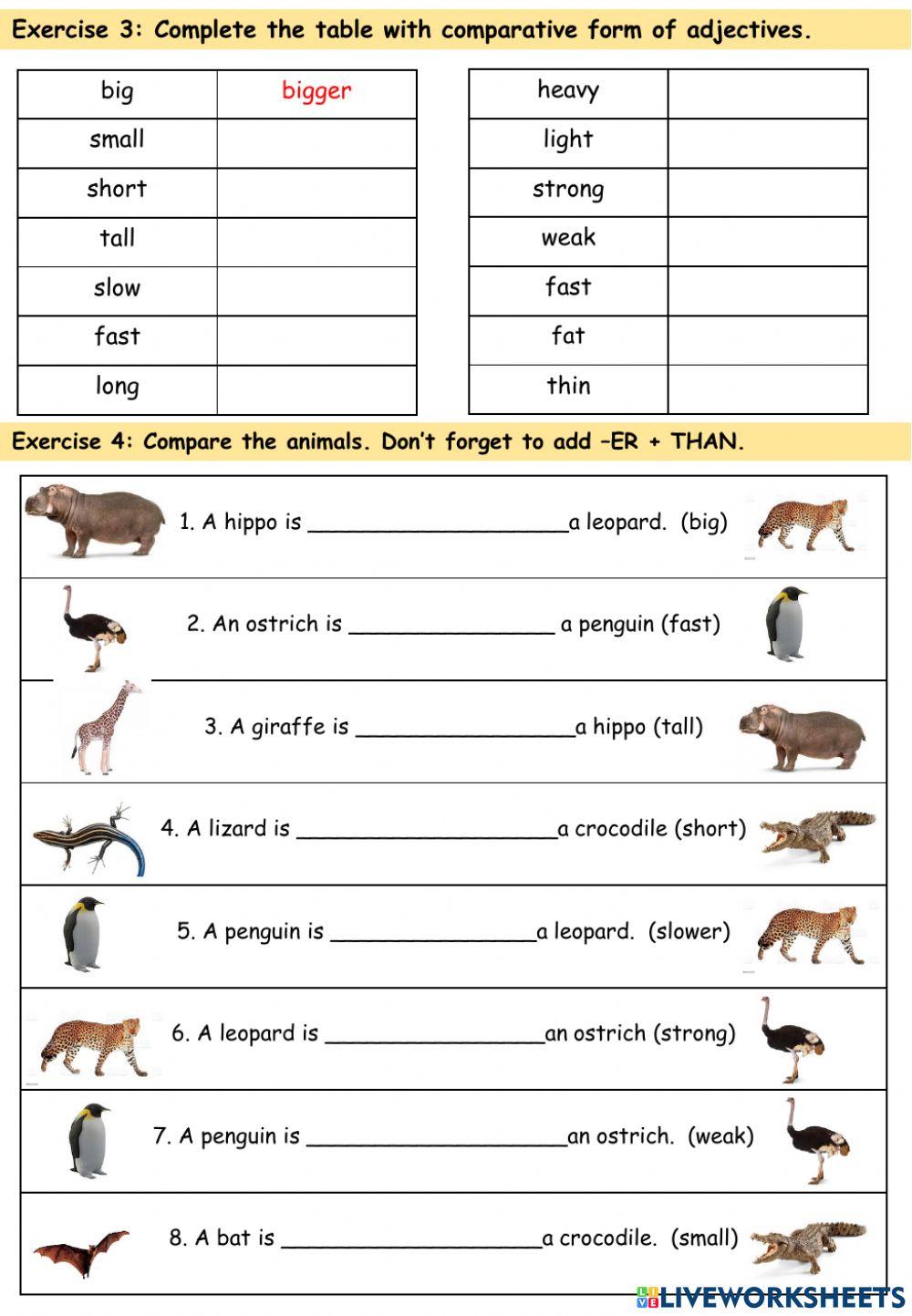 Wild animals Lesson 1