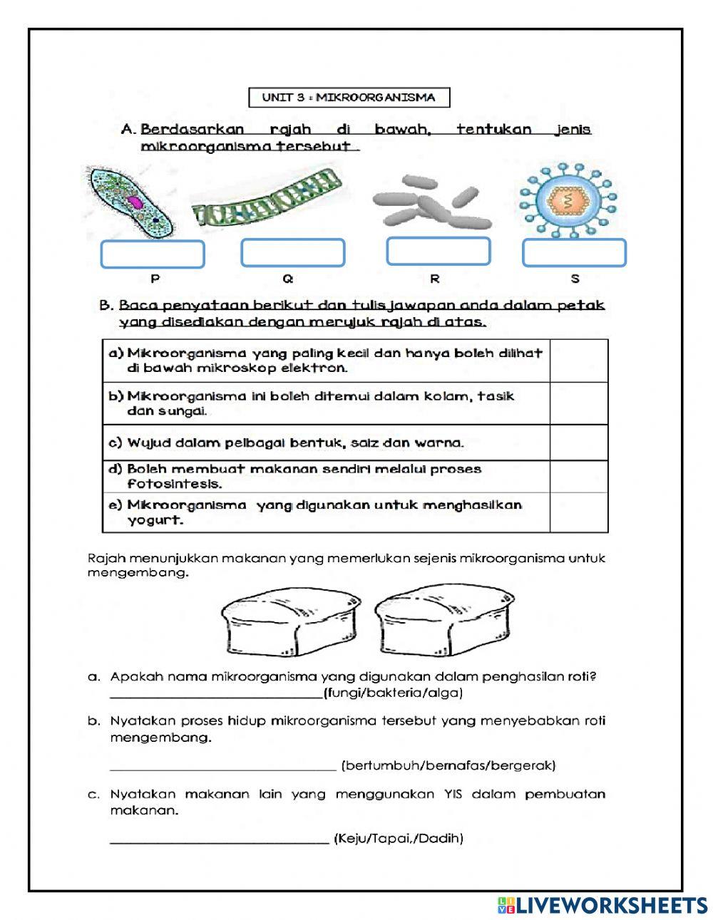 Ujian Pertengahan Tahun Sains Tahun 6