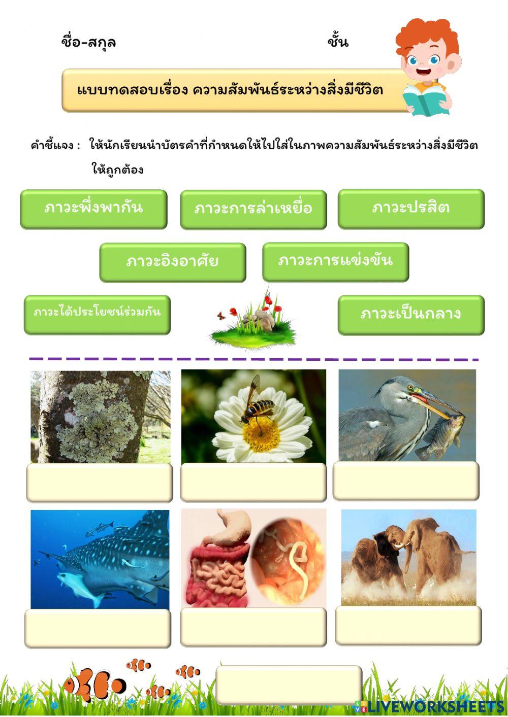 ความสัมพันธ์ระหว่างสิ่งมีชีวิต