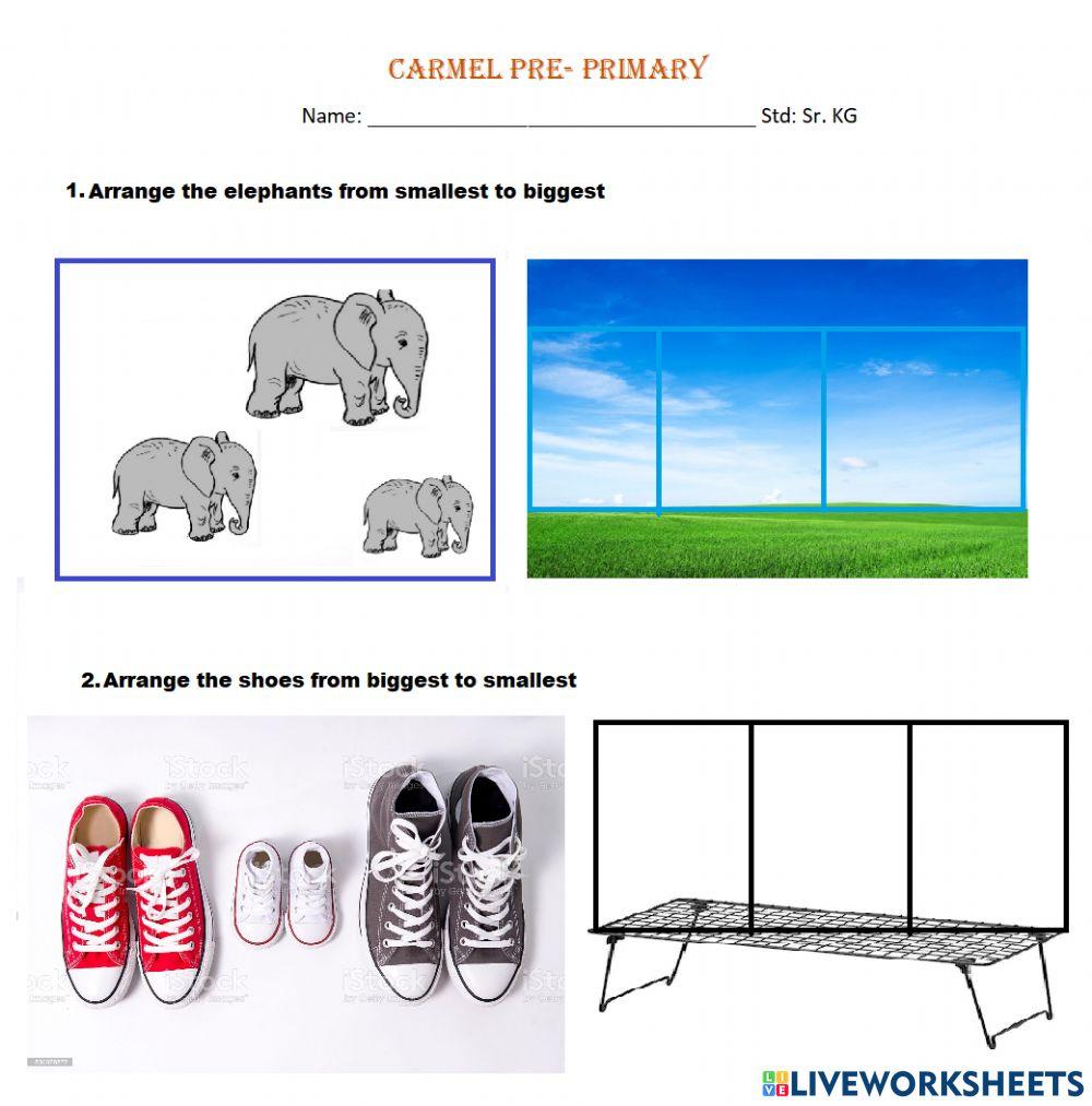 Maths Big and Small worksheet | Live Worksheets