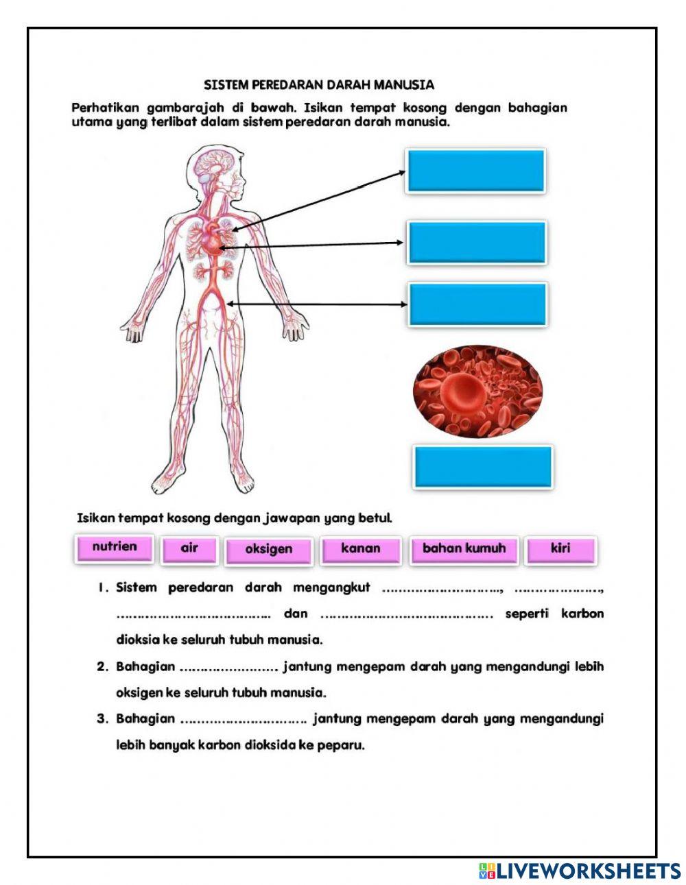 Ujian Pertengahan Tahun Sains Tahun 5