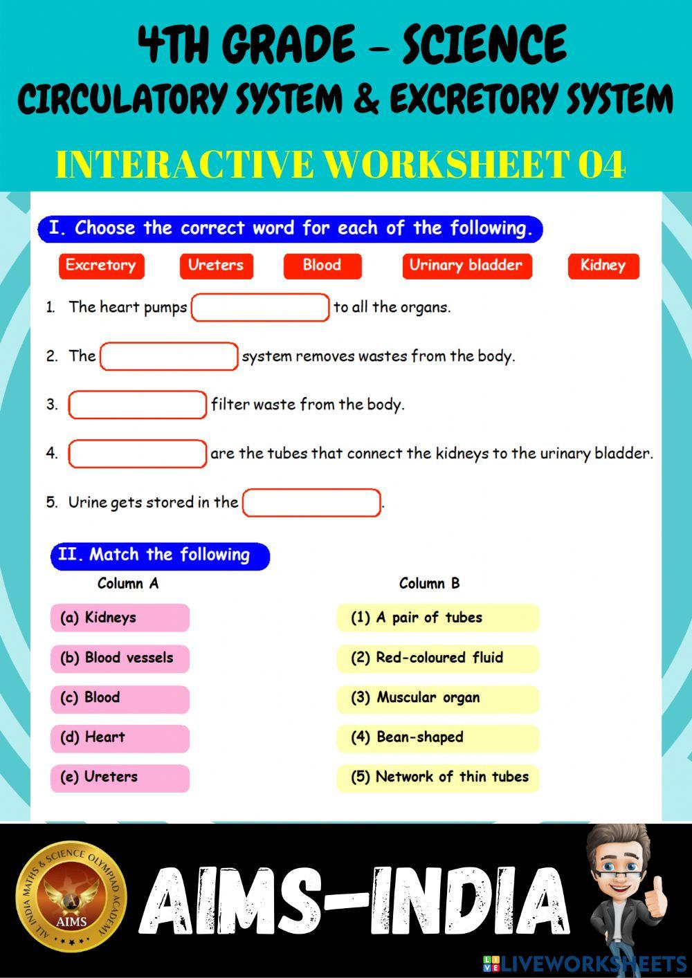 4th-science-ps04-circulatory system & excretory system