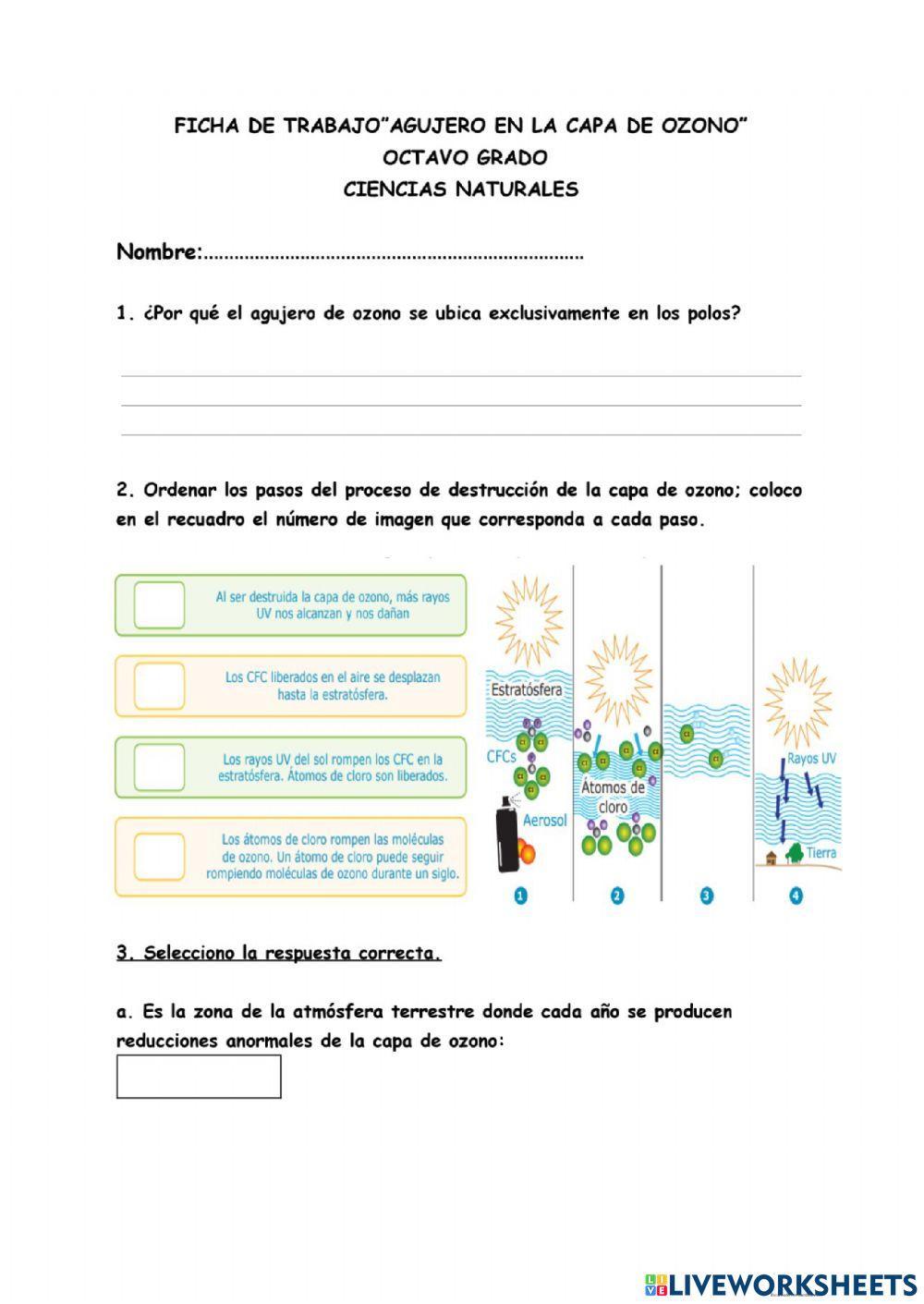 Ficha de trabajo Capa de ozono